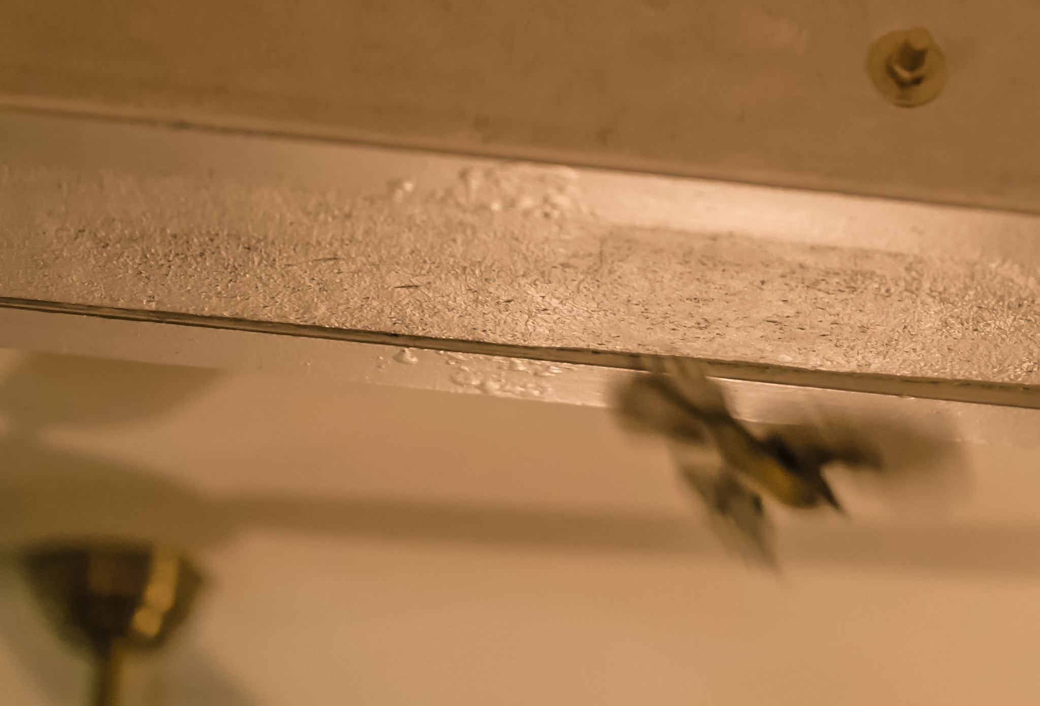 Sony FE 85mm F1.4 GM sample photo. Bird in house photography