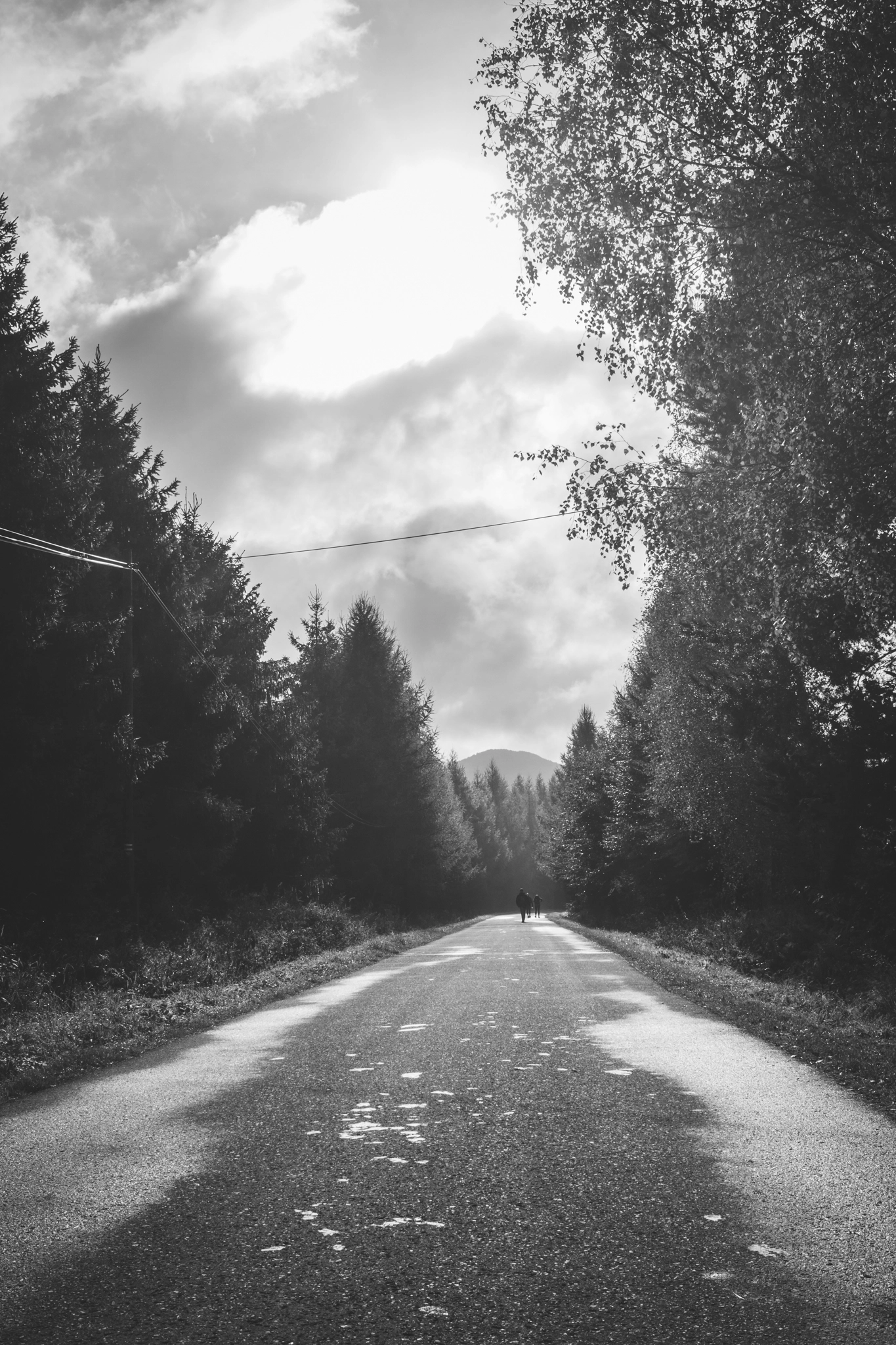 Canon EF-S 24mm F2.8 STM sample photo. Bieszczady photography