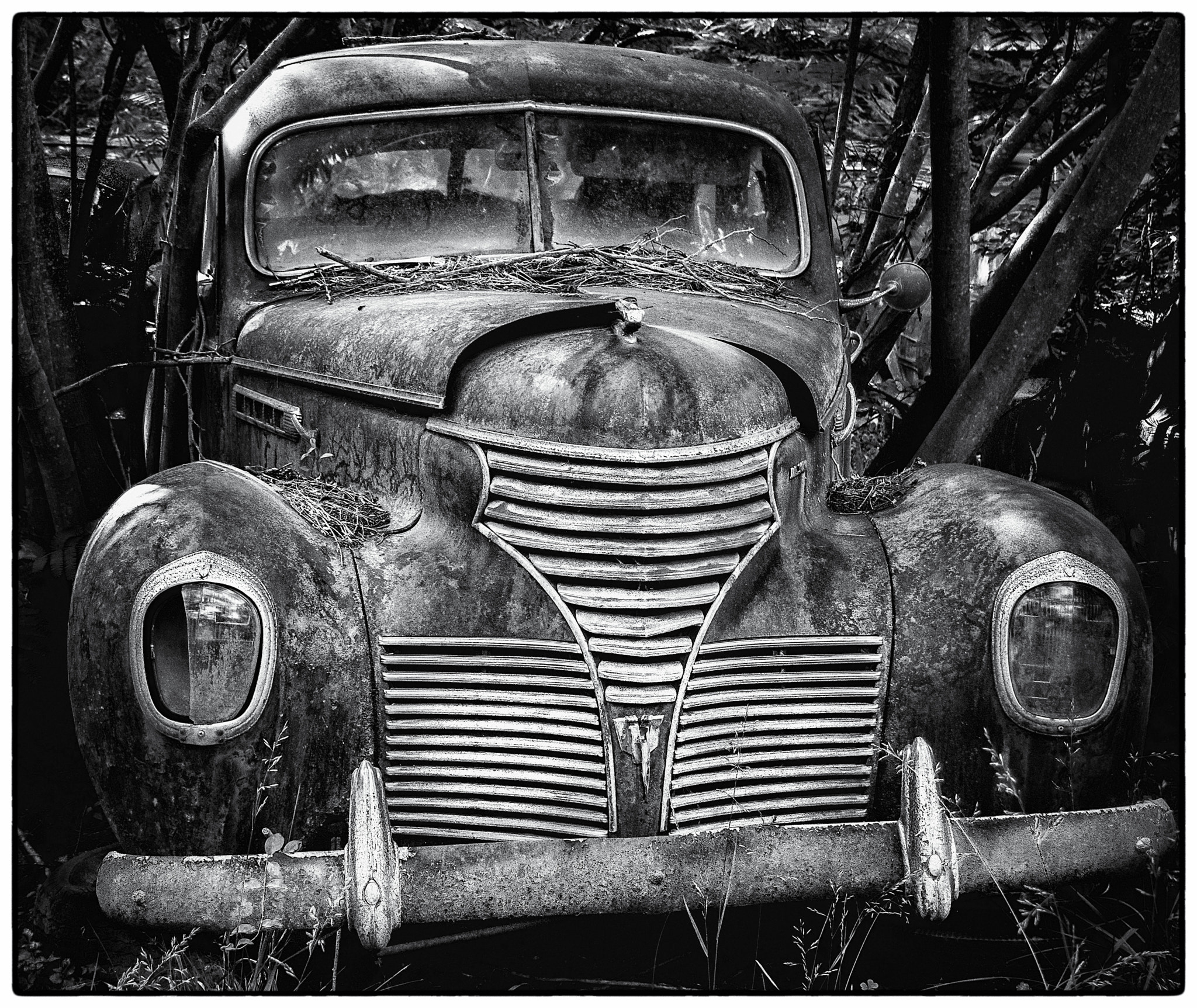 Panasonic Lumix DMC-GH3 sample photo. '39 desoto photography