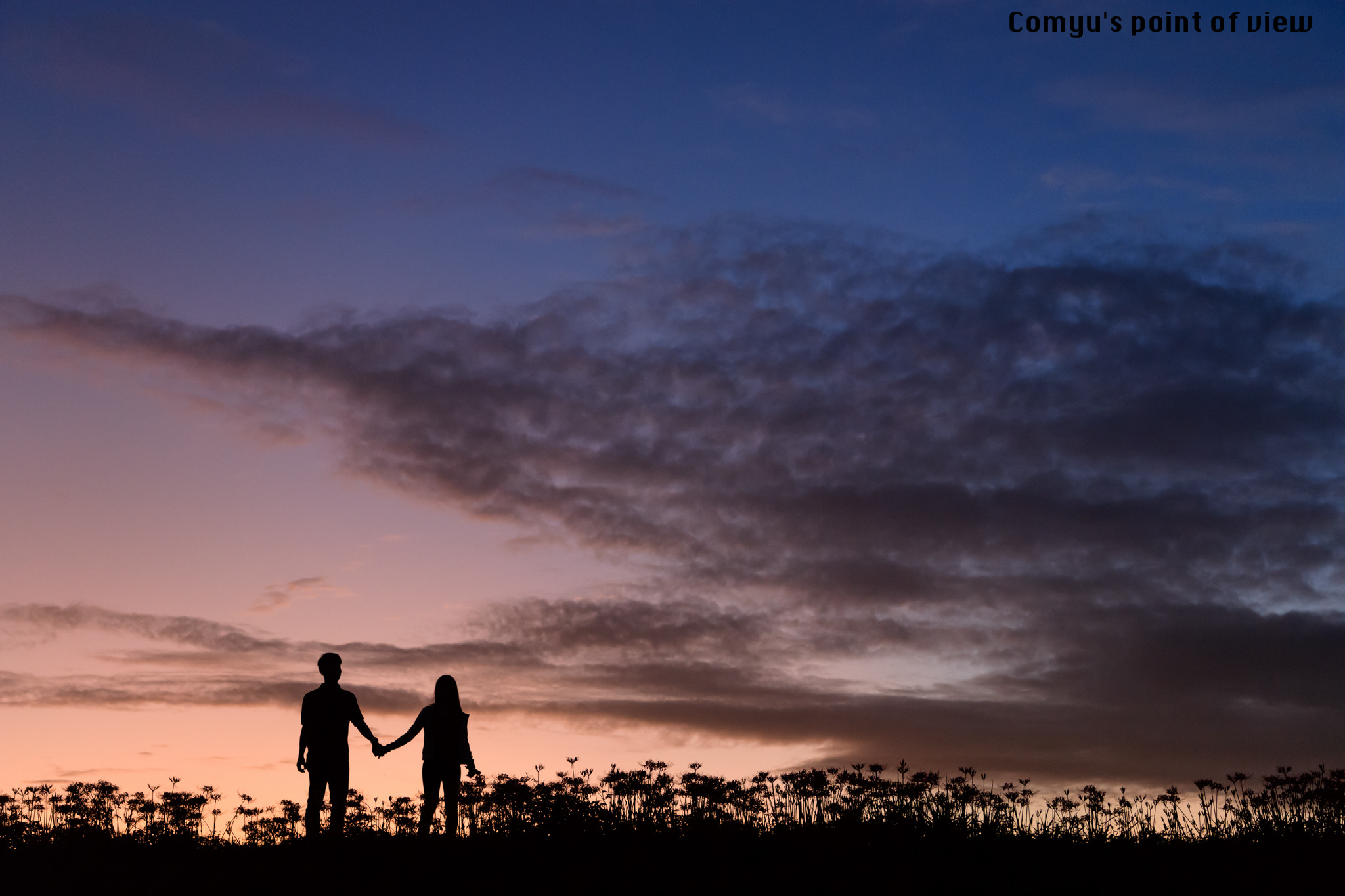 Nikon AF-S Nikkor 24-70mm F2.8E ED VR sample photo. Sky of oath photography
