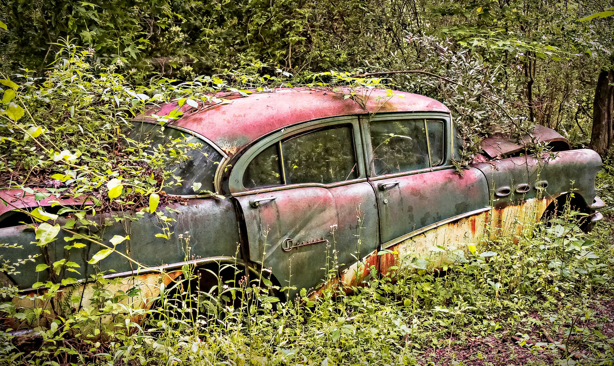 Panasonic Lumix DMC-GH3 sample photo. Buick special photography