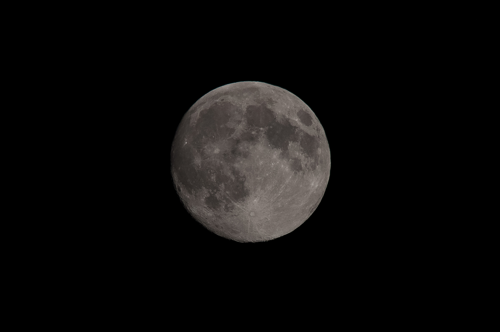 Sigma 150-500mm F5-6.3 DG OS HSM sample photo. Moonshot photography