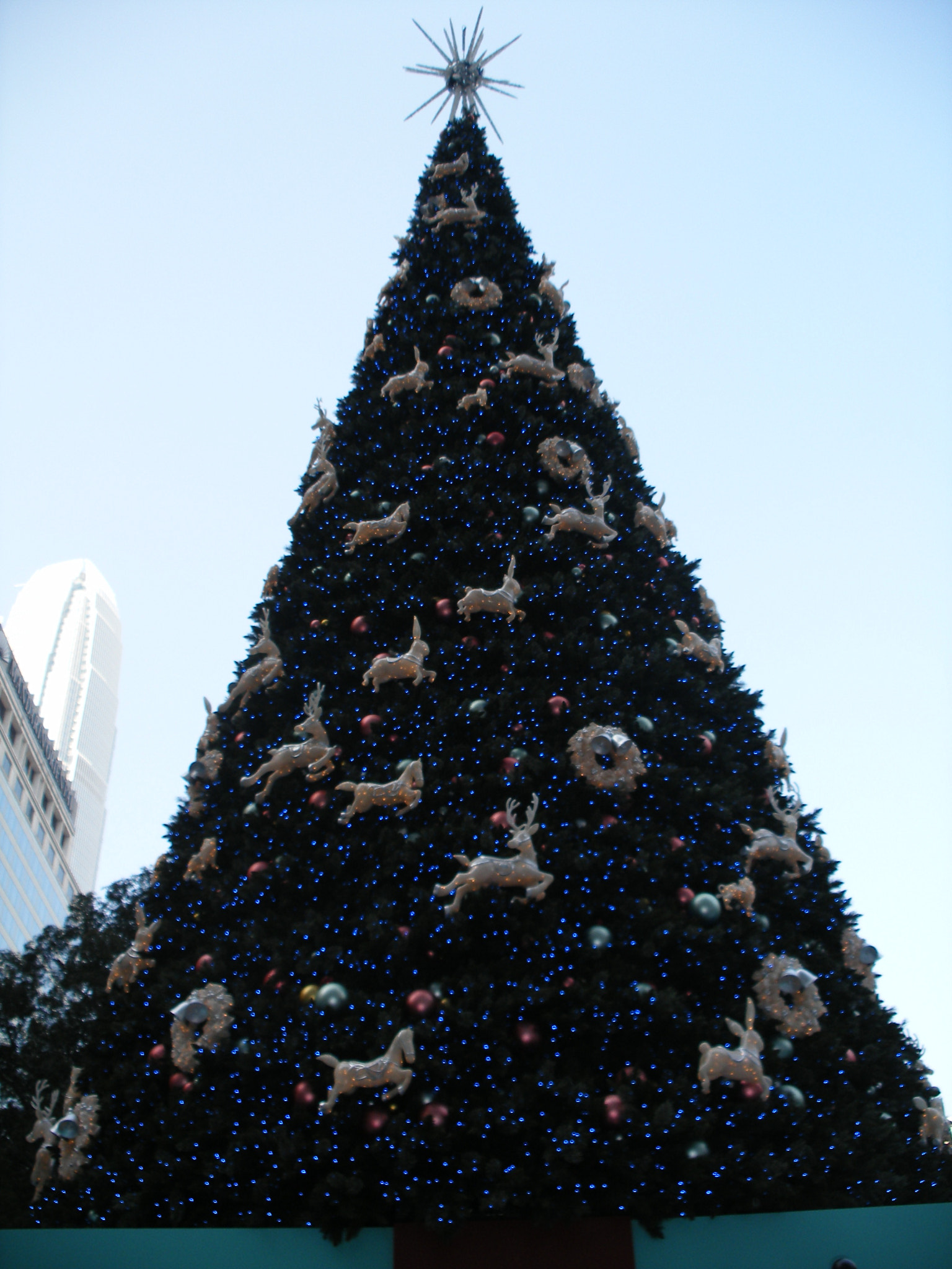 Fujifilm FinePix F650 sample photo. Hong kong christmas tree photography