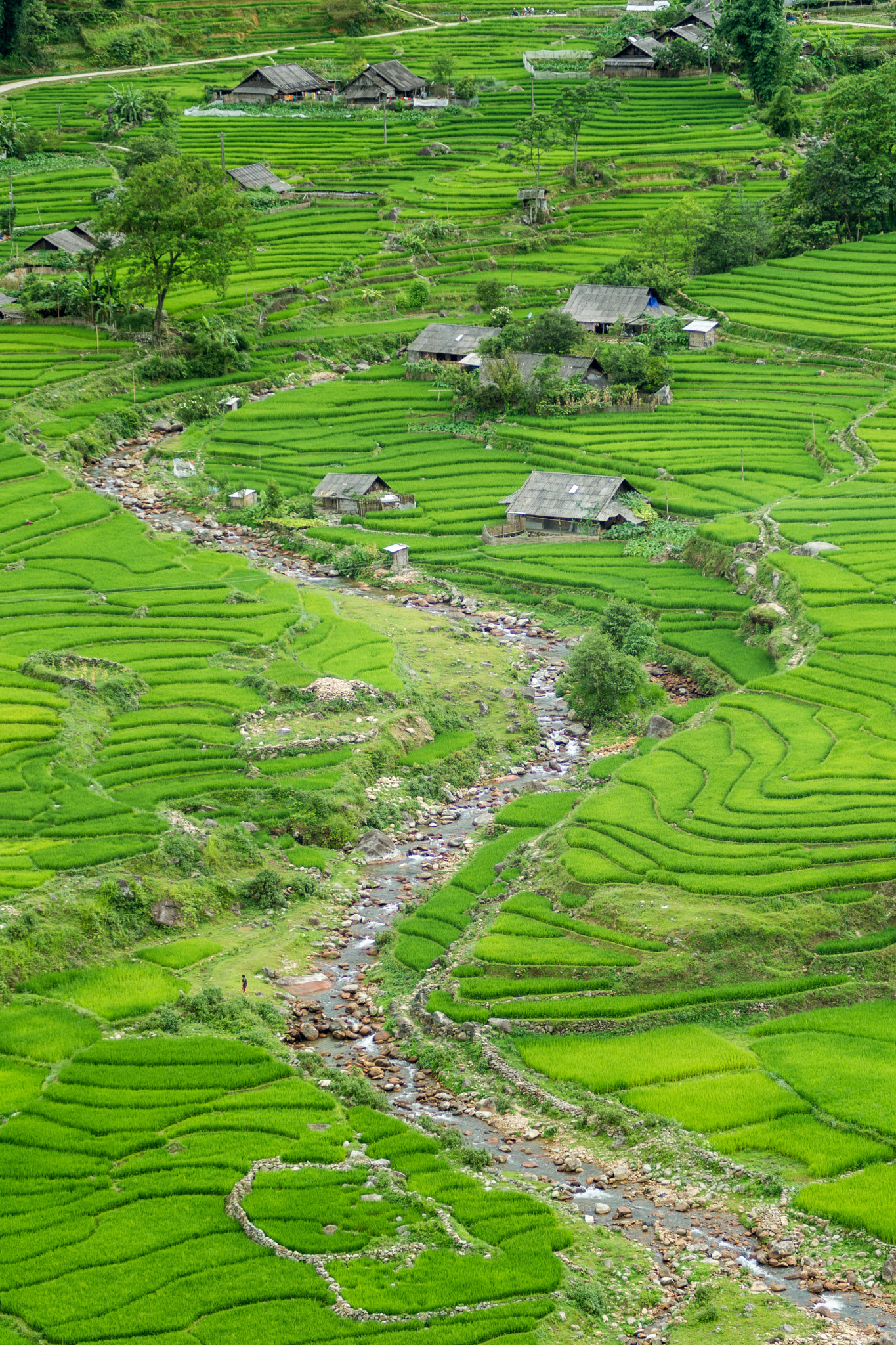 Nikon AF-Nikkor 80-200mm F2.8D ED sample photo. Life in sapa photography