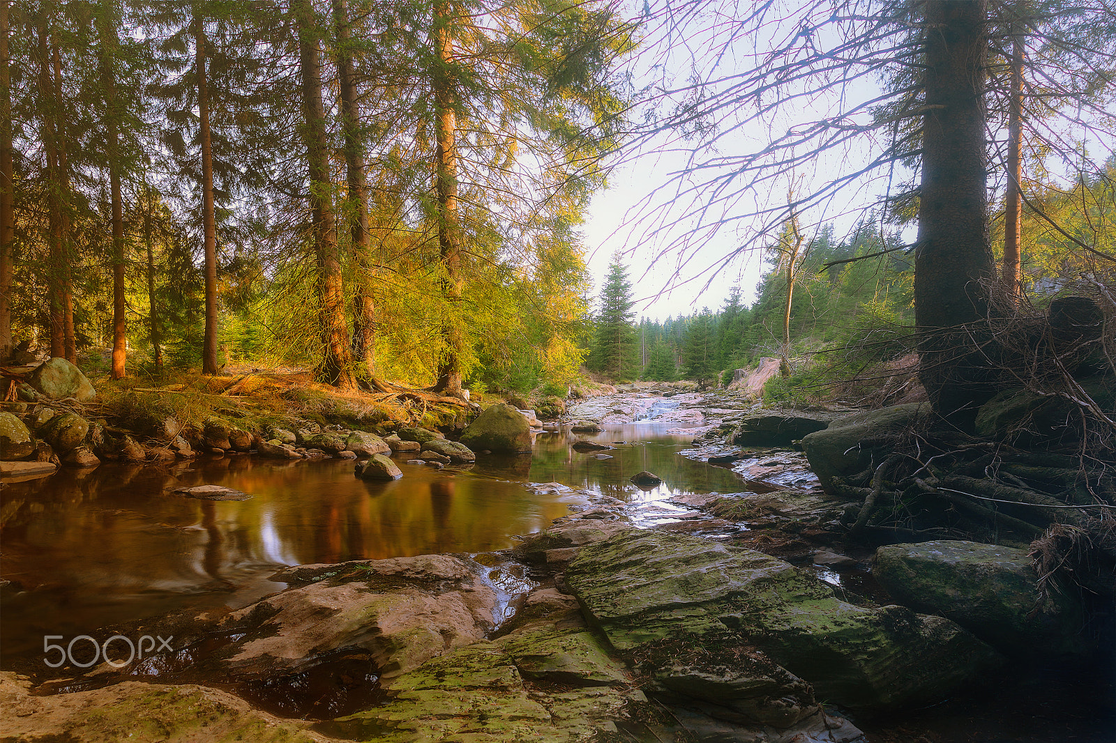 Sony SLT-A77 sample photo. Little creek in ore mountains photography