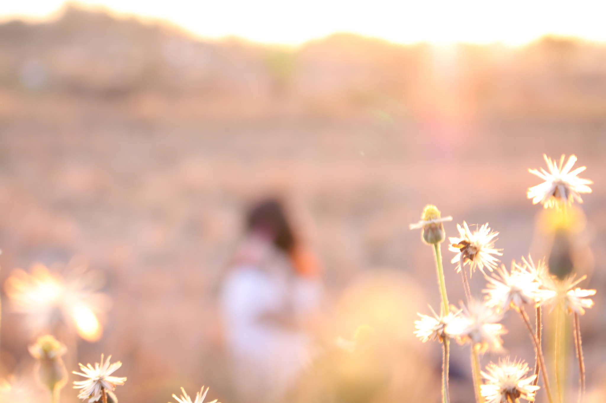 Canon EOS 50D sample photo. Img photography