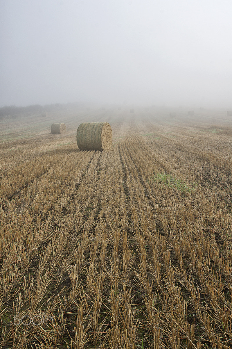 Sony Alpha DSLR-A550 sample photo. Haystacks and mist photography