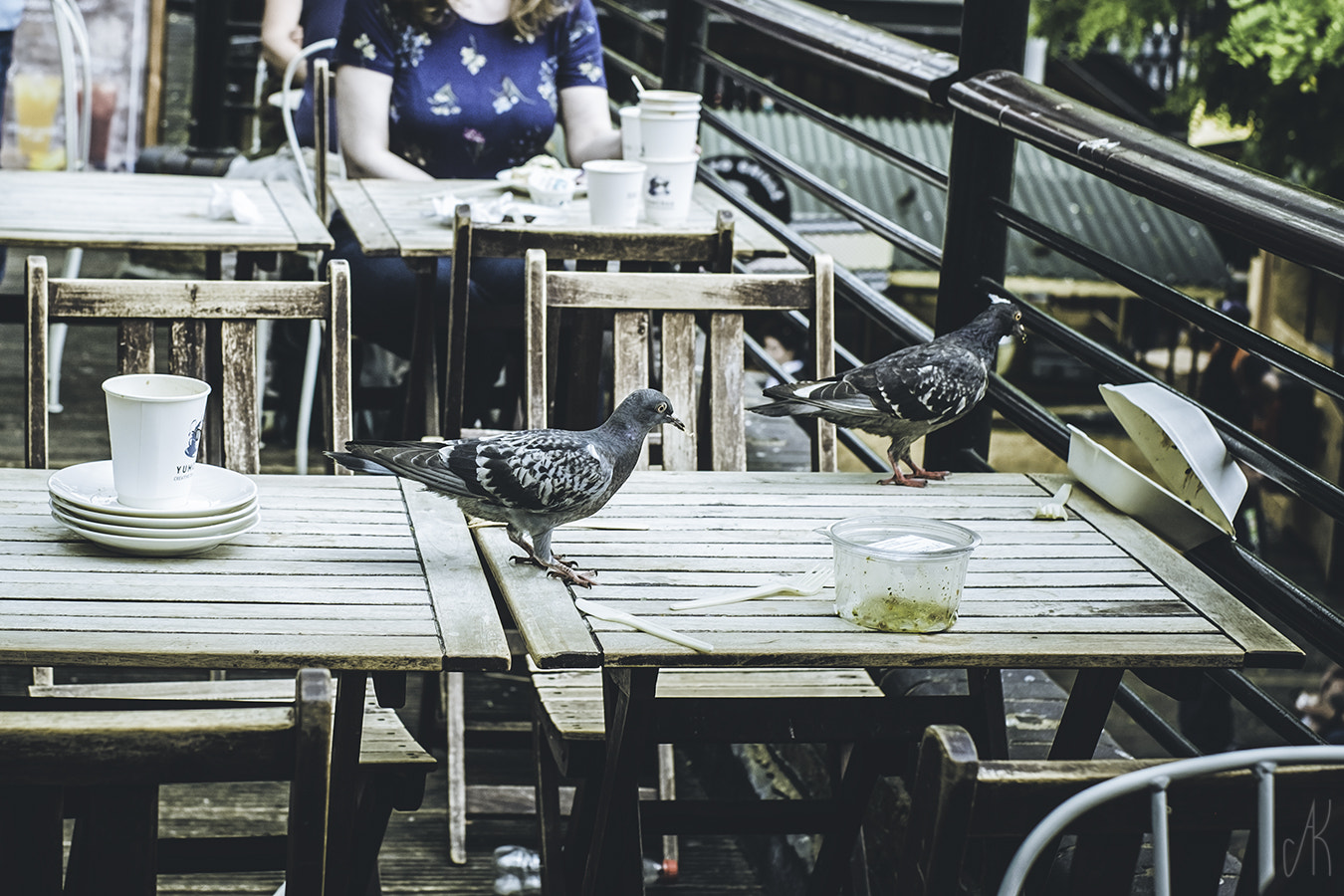Fujifilm X-M1 + Fujifilm XF 35mm F1.4 R sample photo. Thiefs photography