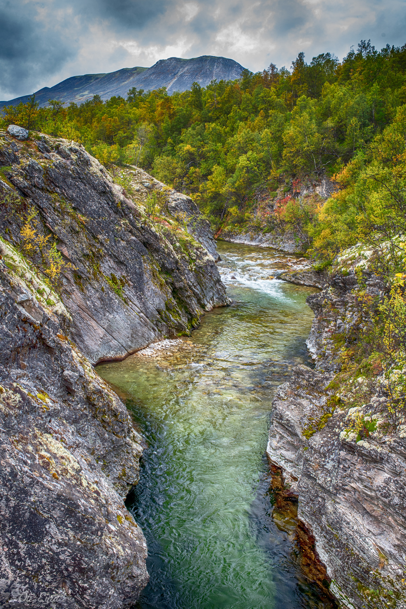 Nikon D810 + Nikon AF Nikkor 35mm F2D sample photo. Mountain creek photography