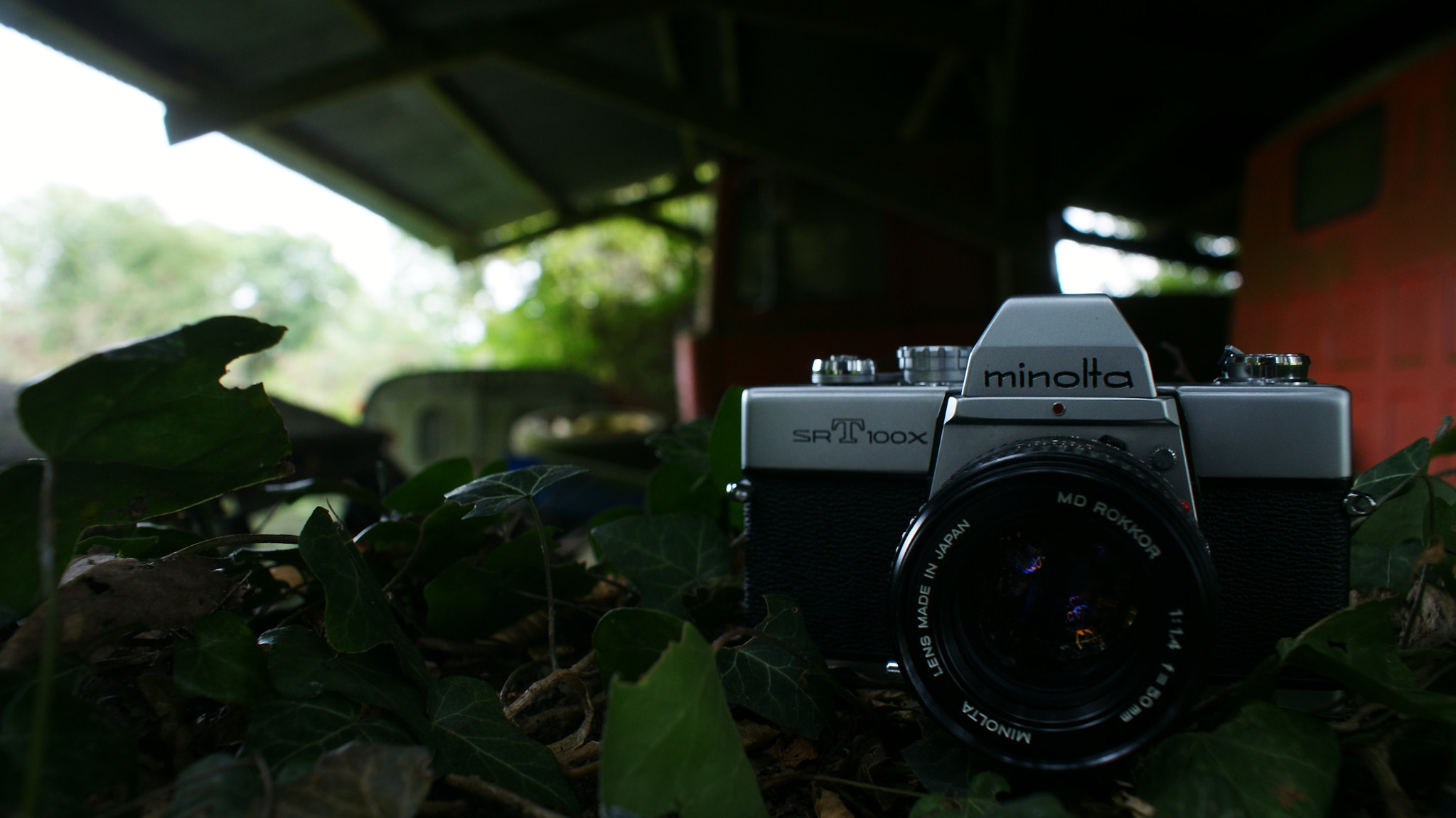 Sony Alpha DSLR-A700 sample photo. Minolta are back ! photography