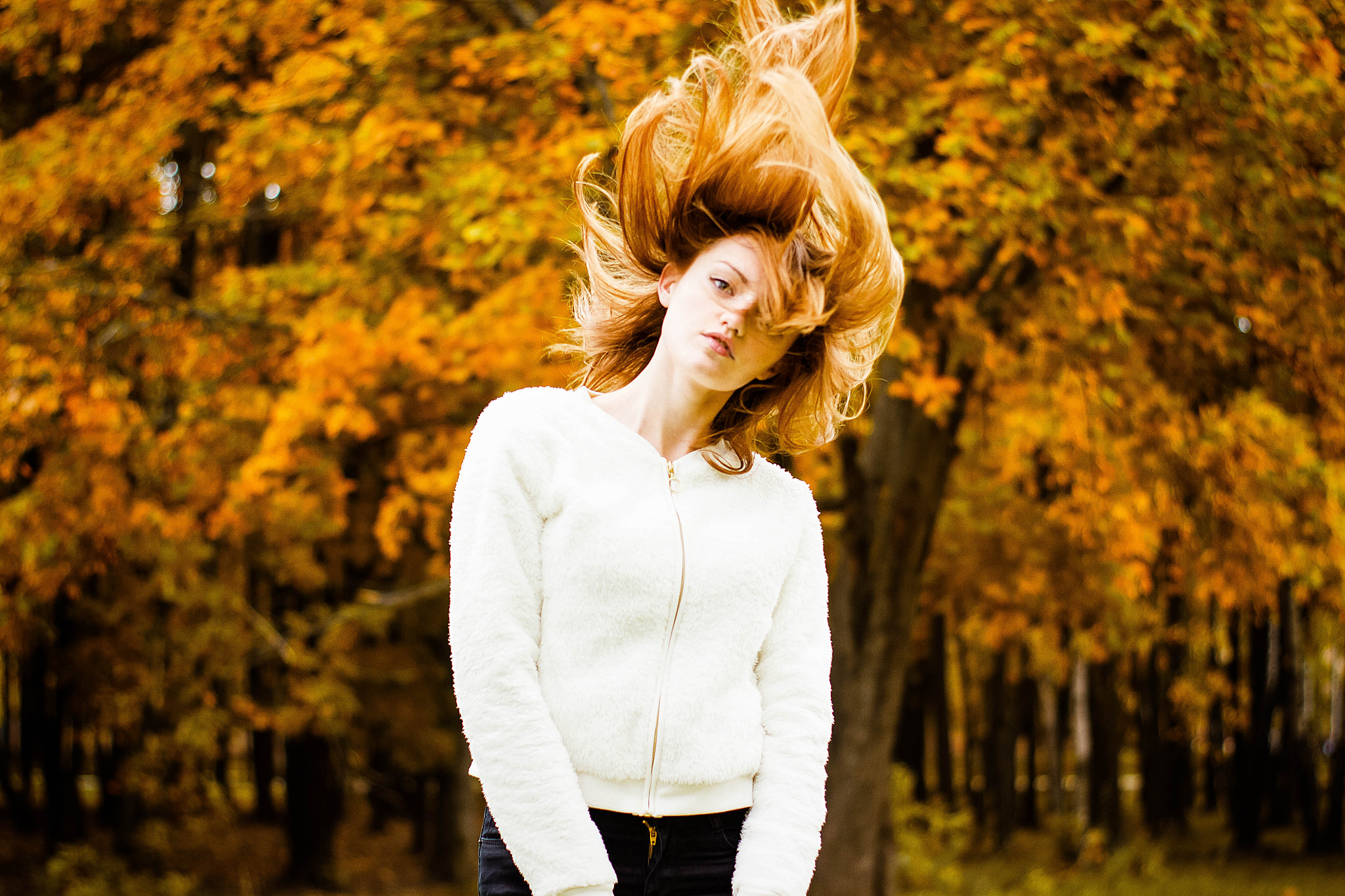 ZEISS Planar T* 50mm F1.4 sample photo. Осень photography