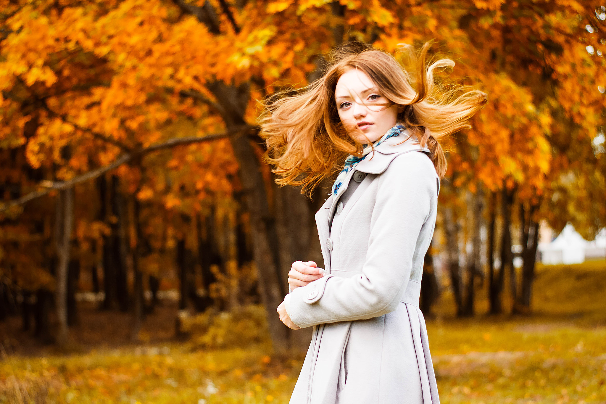 ZEISS Planar T* 50mm F1.4 sample photo. Осень photography
