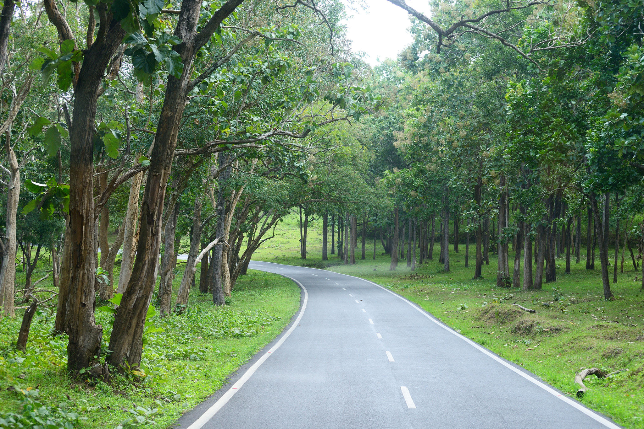 Nikon D800E sample photo. Kvb photography
