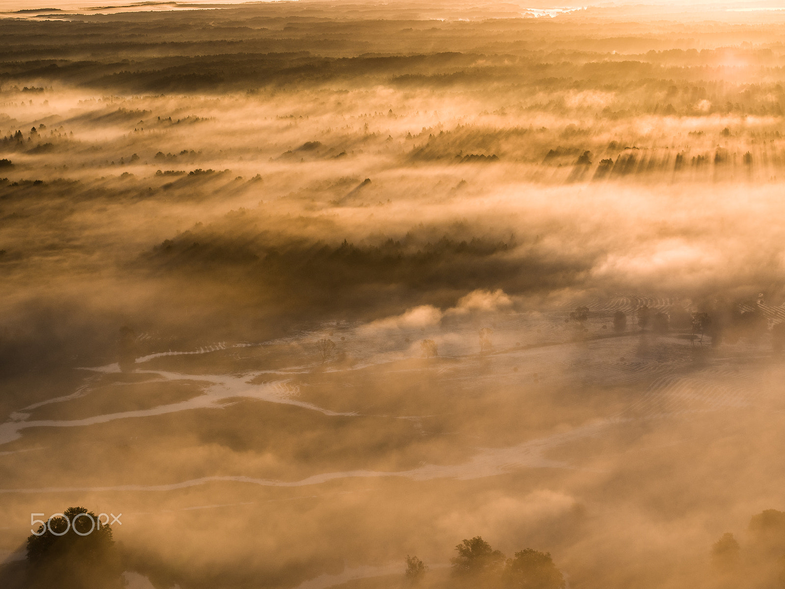 DJI FC550 + Olympus M.Zuiko Digital 45mm F1.8 sample photo. Misty sunrise in soomaa photography