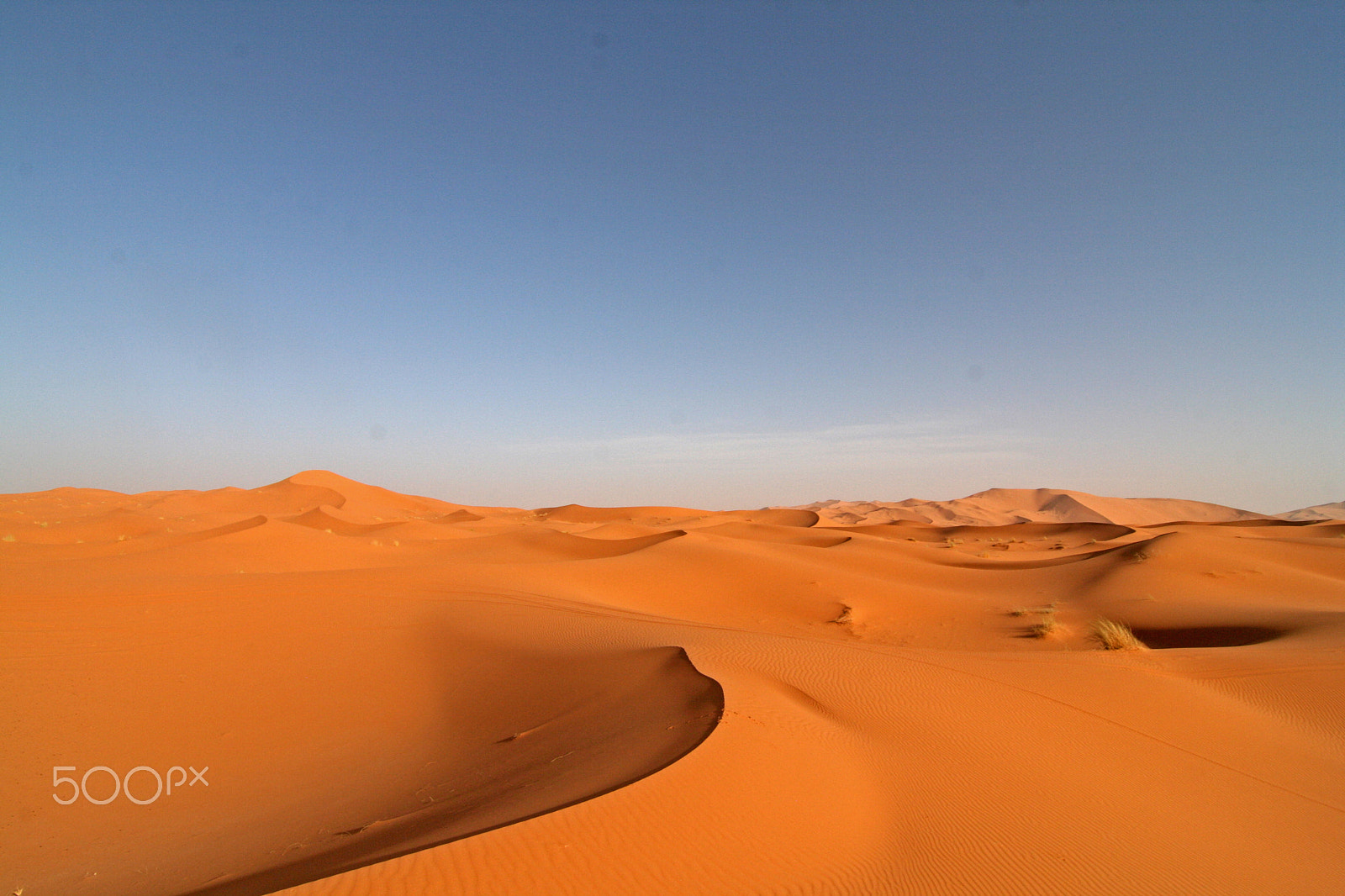 Canon EOS 400D (EOS Digital Rebel XTi / EOS Kiss Digital X) sample photo. Erg chebbi photography