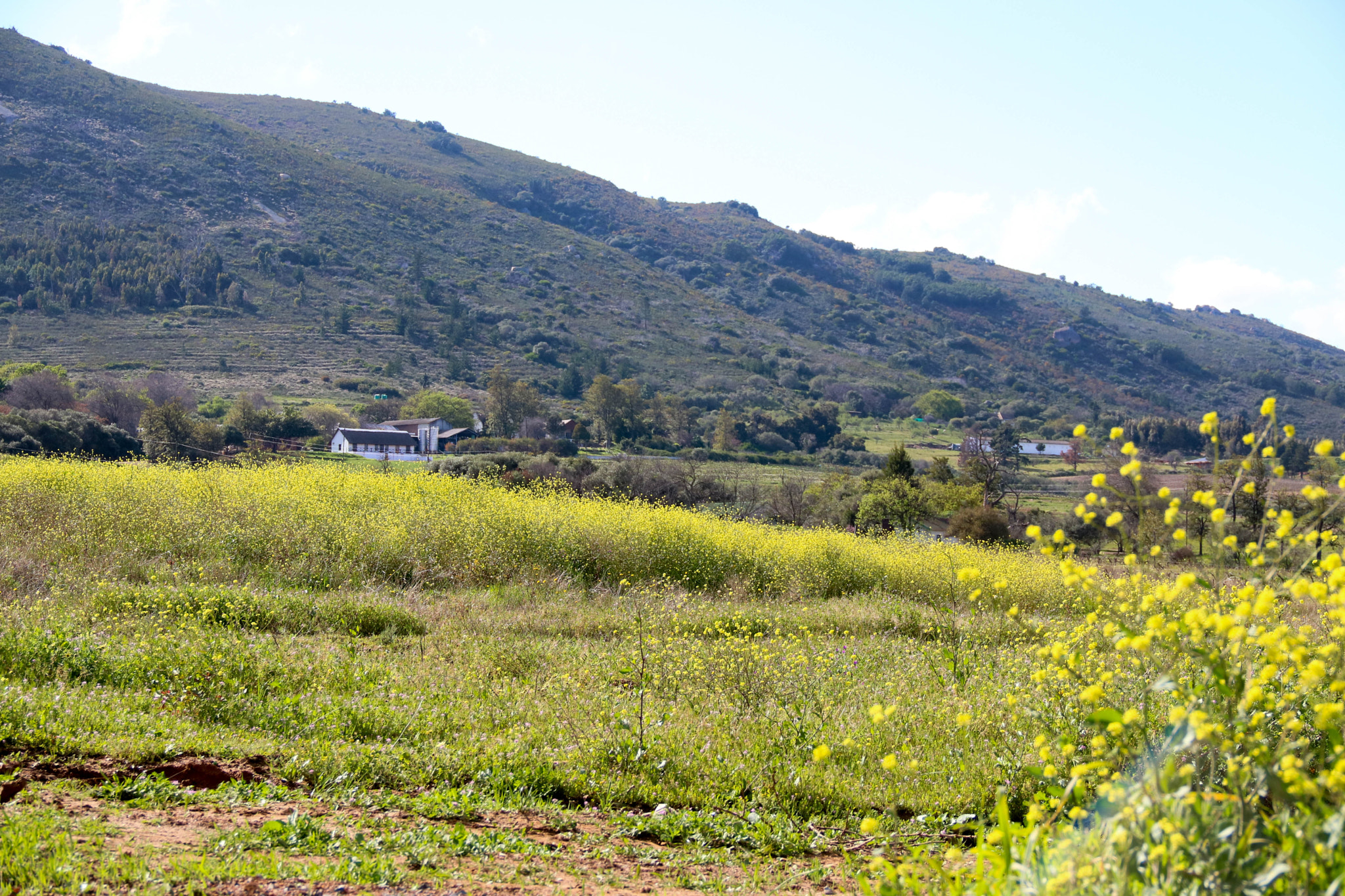 Canon EOS 750D (EOS Rebel T6i / EOS Kiss X8i) sample photo. Lone farmhouse photography