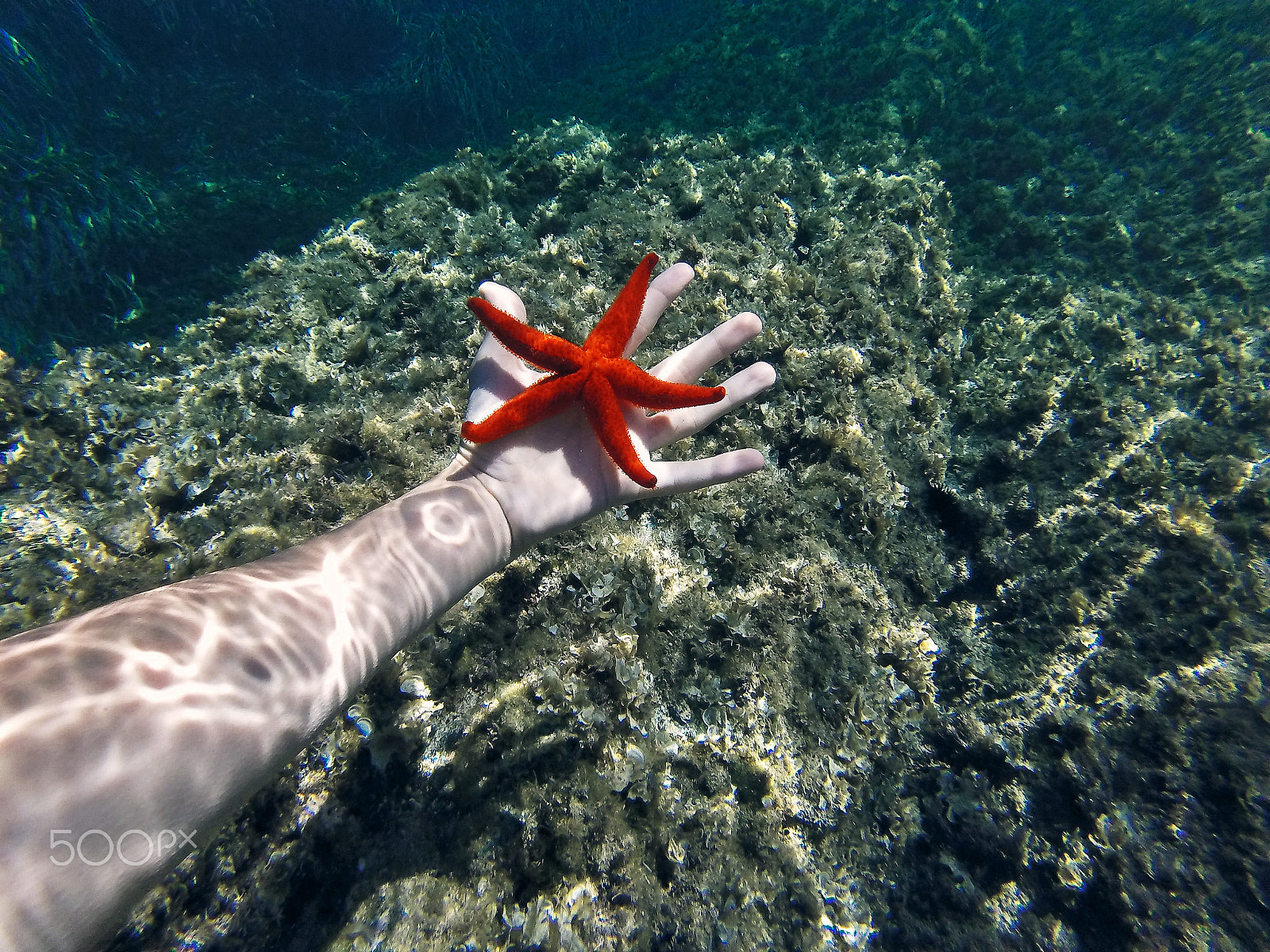 GoPro HERO sample photo. Star photography