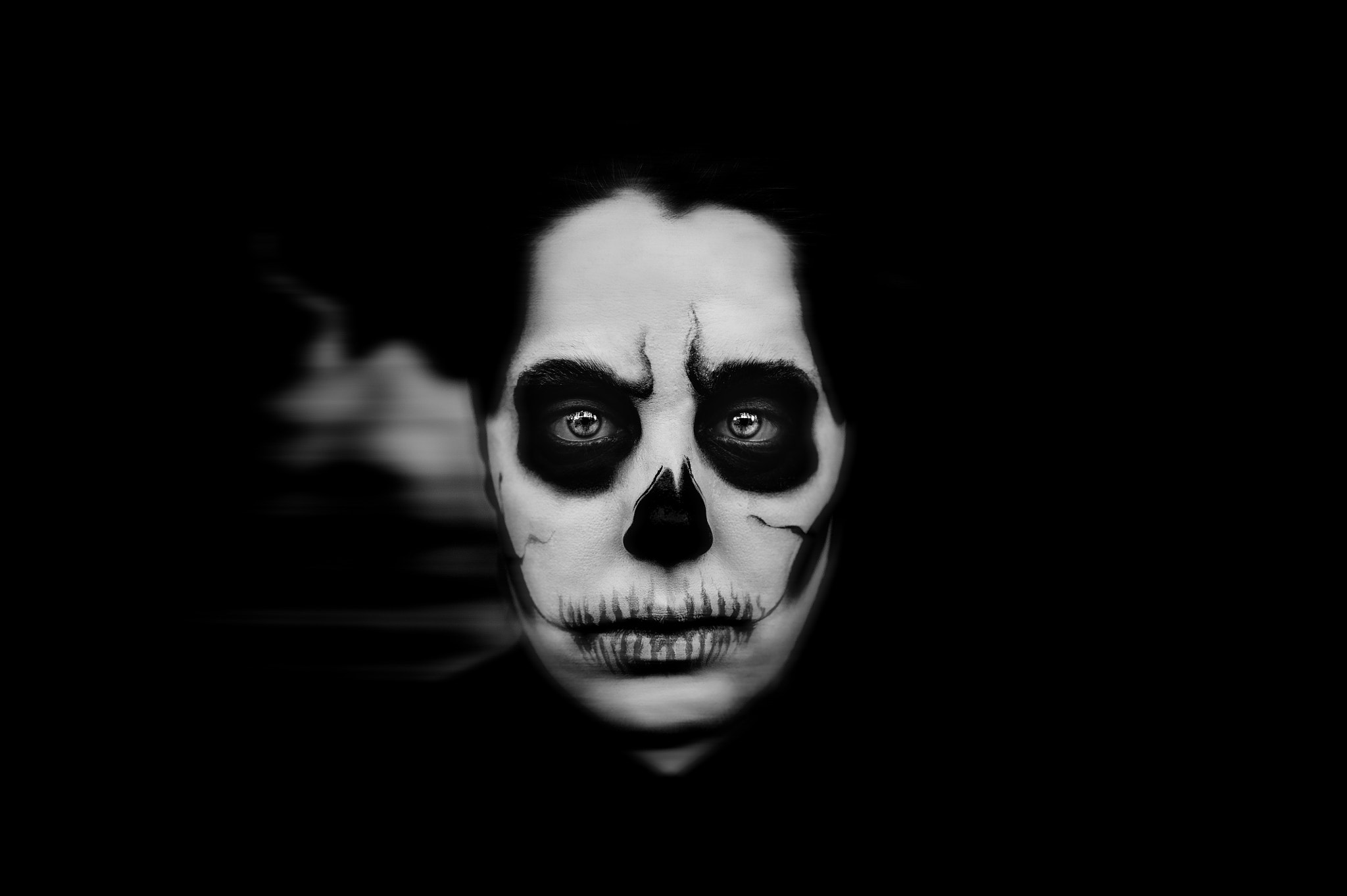 Nikon D700 + Nikon AF-S DX Nikkor 35mm F1.8G sample photo. Skull photography