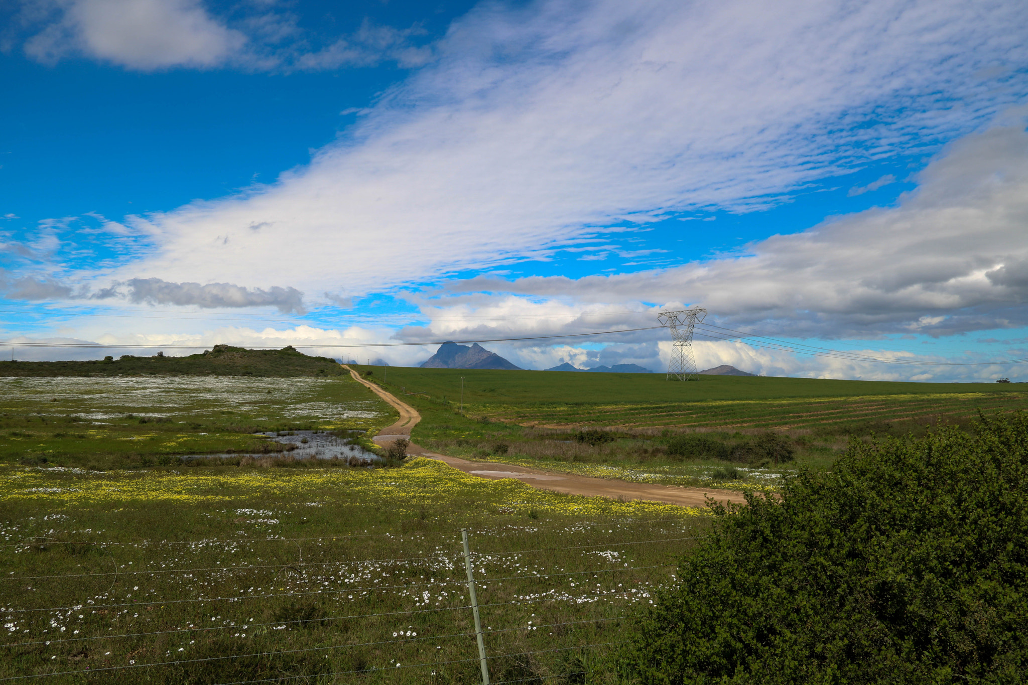 Canon EOS 750D (EOS Rebel T6i / EOS Kiss X8i) sample photo. Sweeping clouds photography