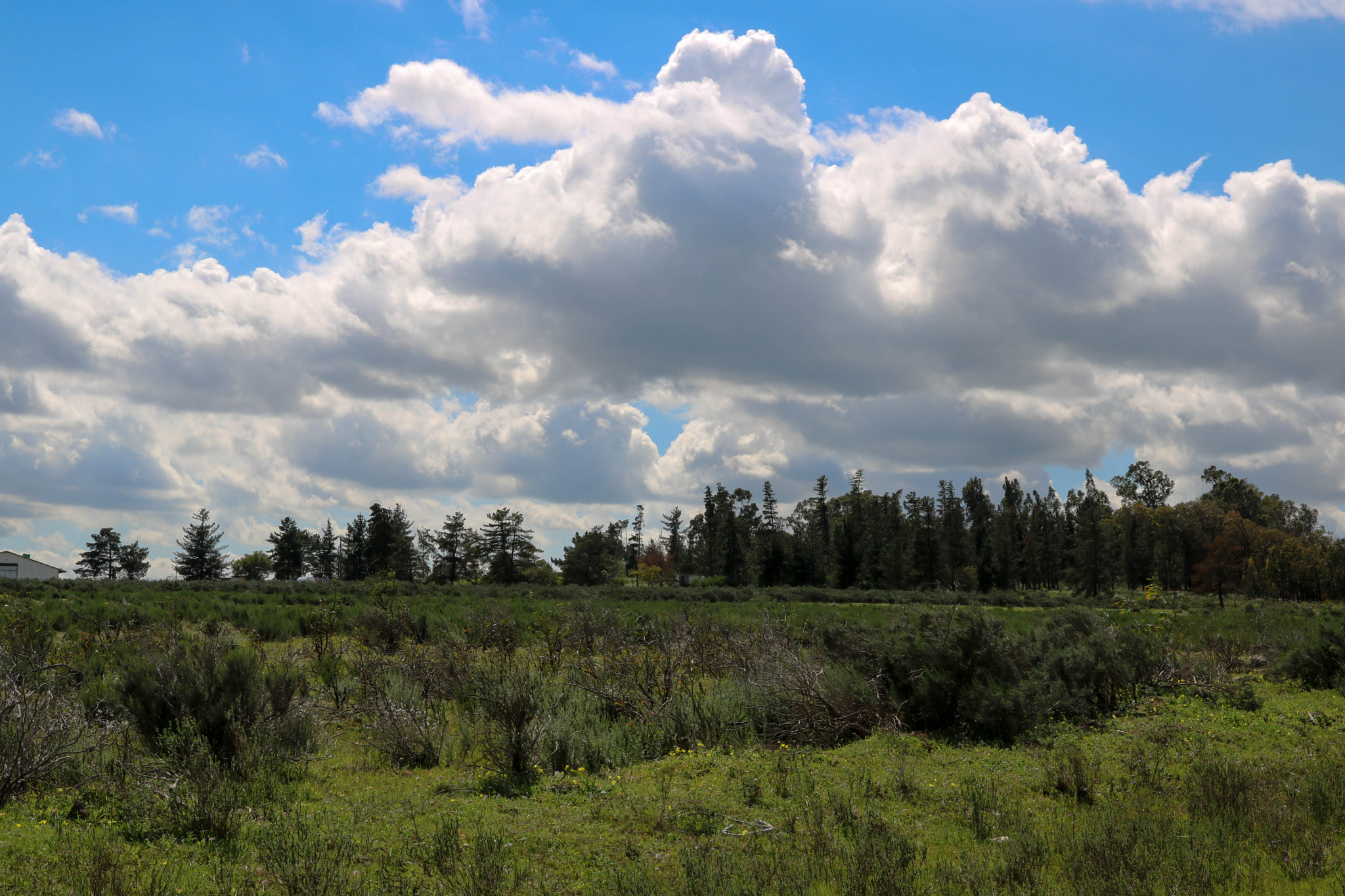 Canon EOS 750D (EOS Rebel T6i / EOS Kiss X8i) sample photo. Clouds are gathering photography