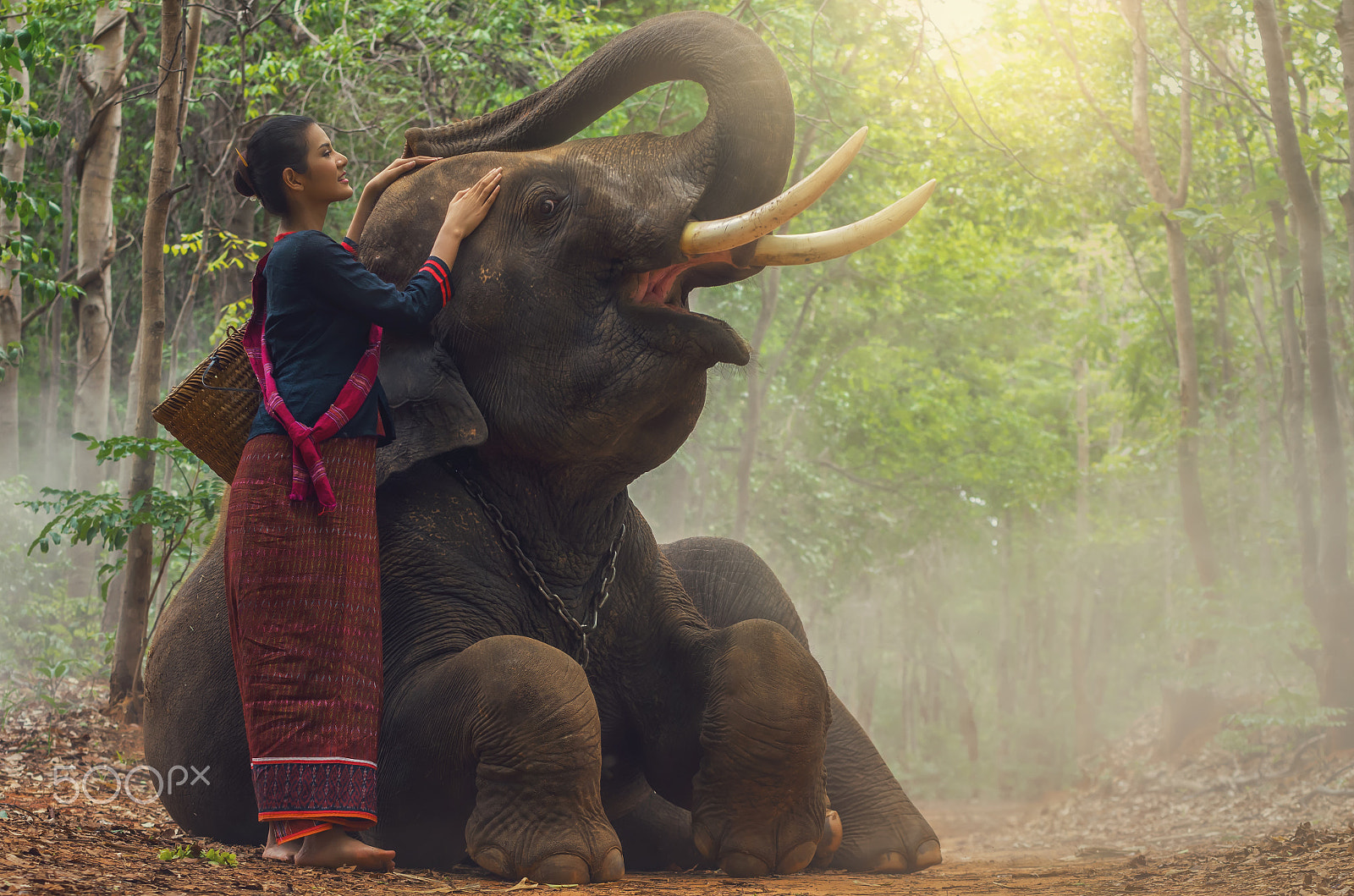Pentax K-5 IIs sample photo. Beautiful model in traditional suit with elephant in the forest photography