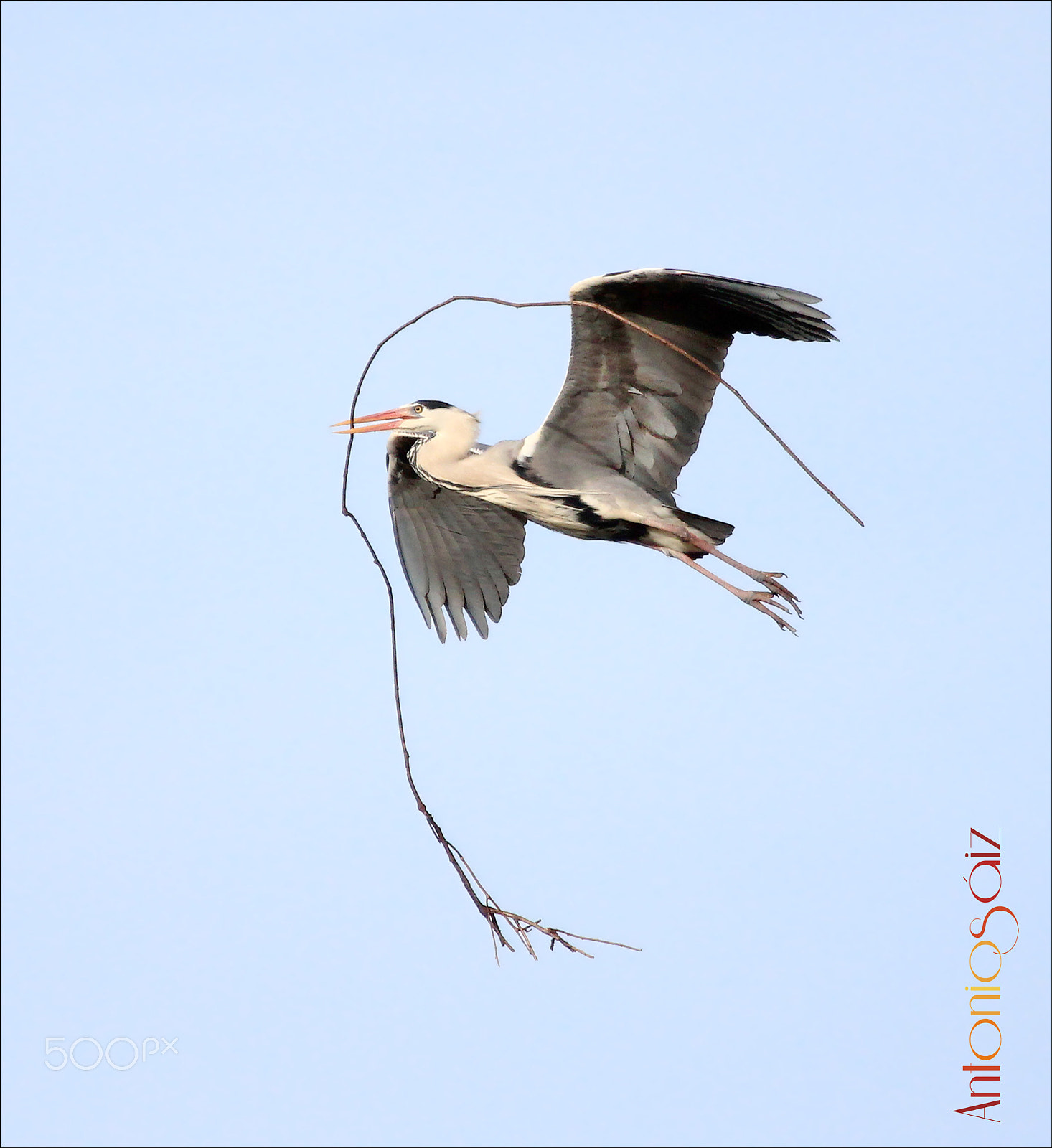 Canon EF 100-400mm F4.5-5.6L IS USM sample photo. Arco photography