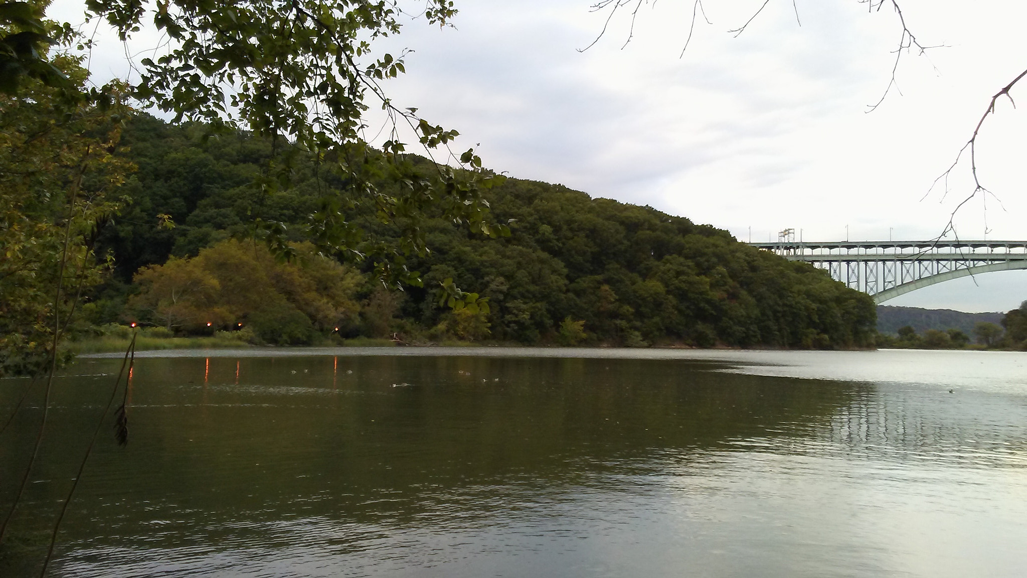 LG M1 sample photo. Inwood park in inwood, manhattan.  photography