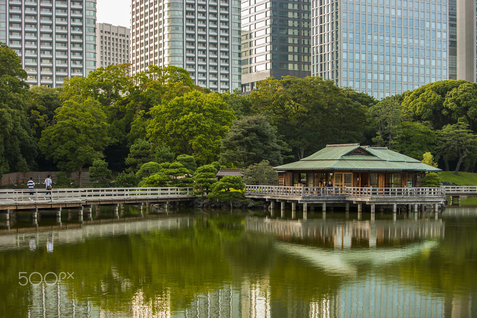 Canon EOS-1Ds Mark III sample photo. Hamarikyu gardens at shiodome, tokyo photography