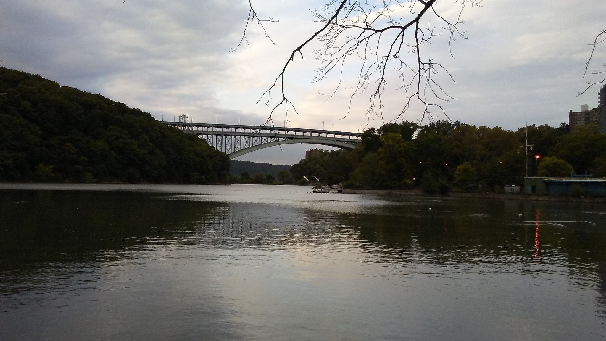 LG M1 sample photo. Inwood park in inwood, manhattan.  photography