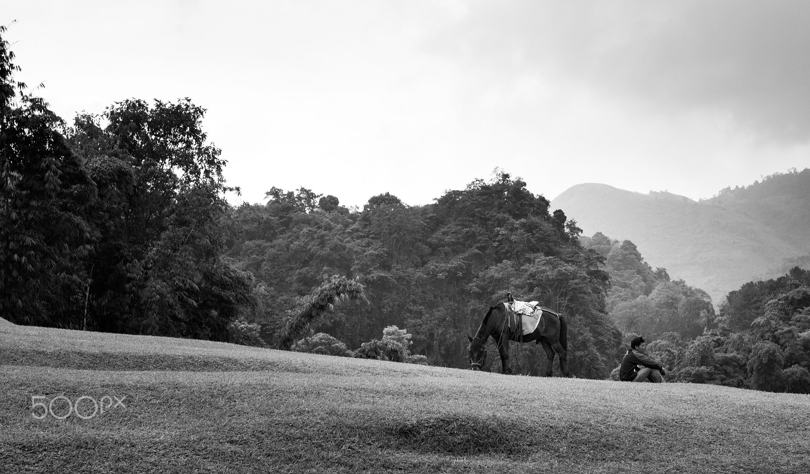 Canon EOS 550D (EOS Rebel T2i / EOS Kiss X4) sample photo. Chilling morning photography