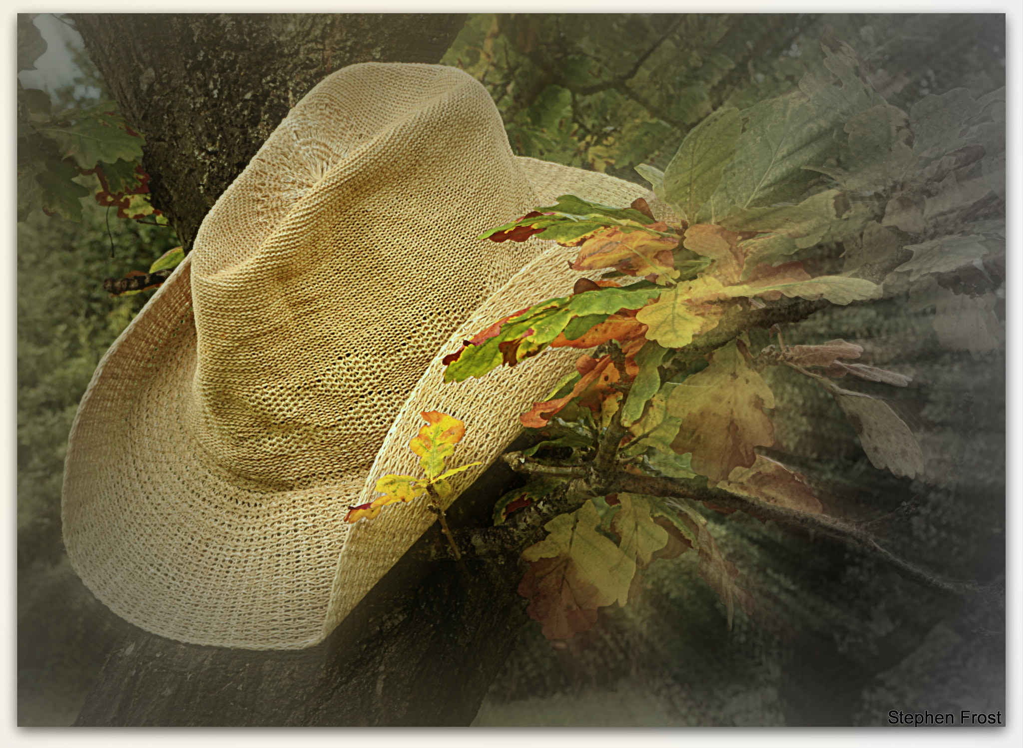 Nikon D7100 + Sigma 24-70mm F2.8 EX DG Macro sample photo. Were ever you lay your hat is home photography