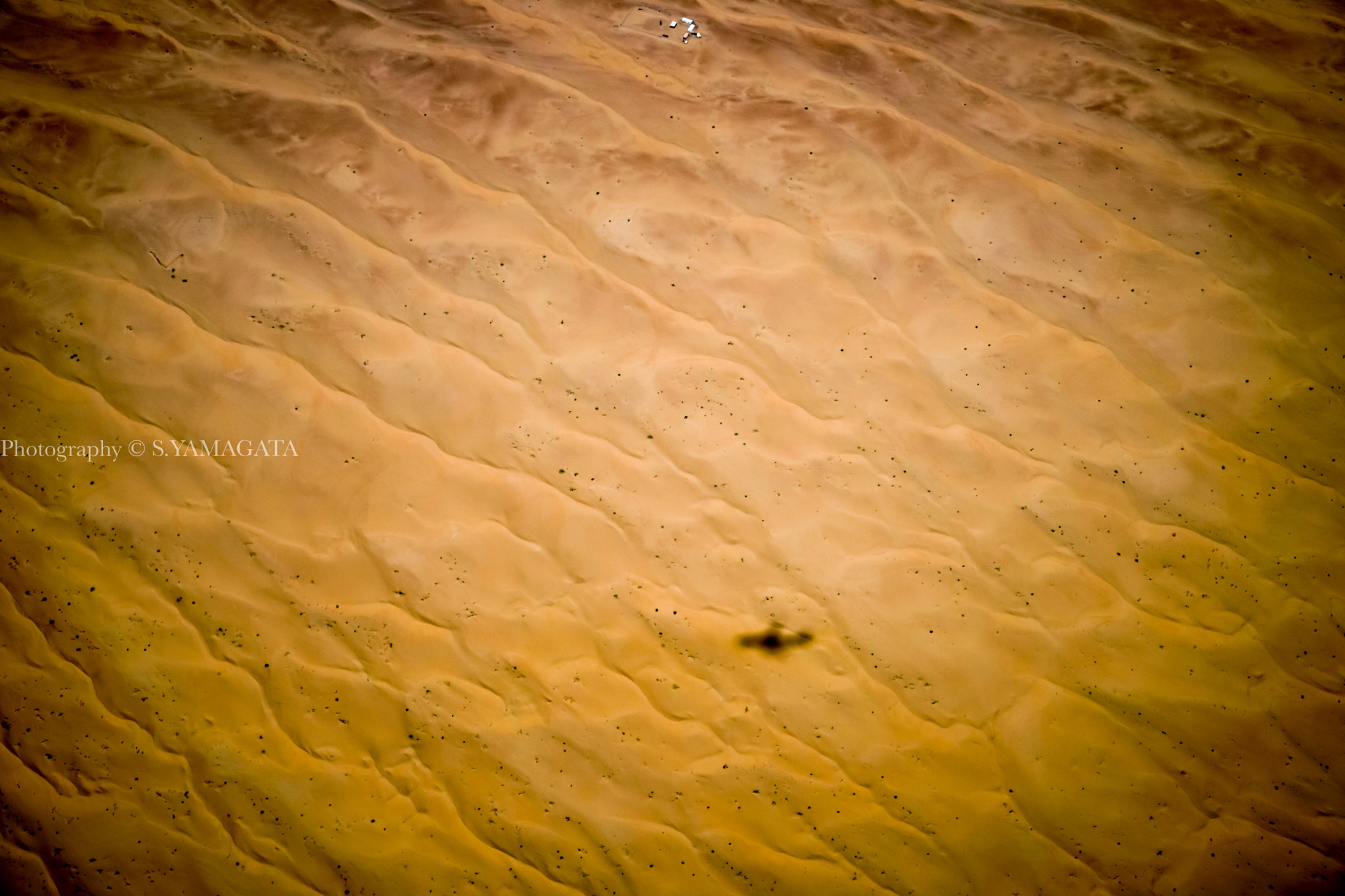 Sony Planar T* FE 50mm F1.4 ZA sample photo. Desert photography