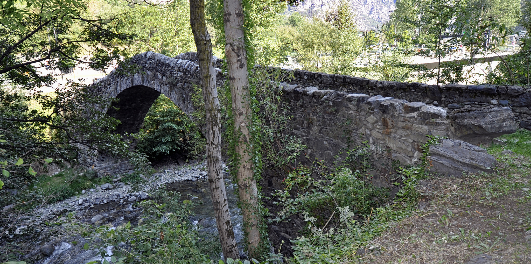Nikon D5000 sample photo. Romanesque bridge photography