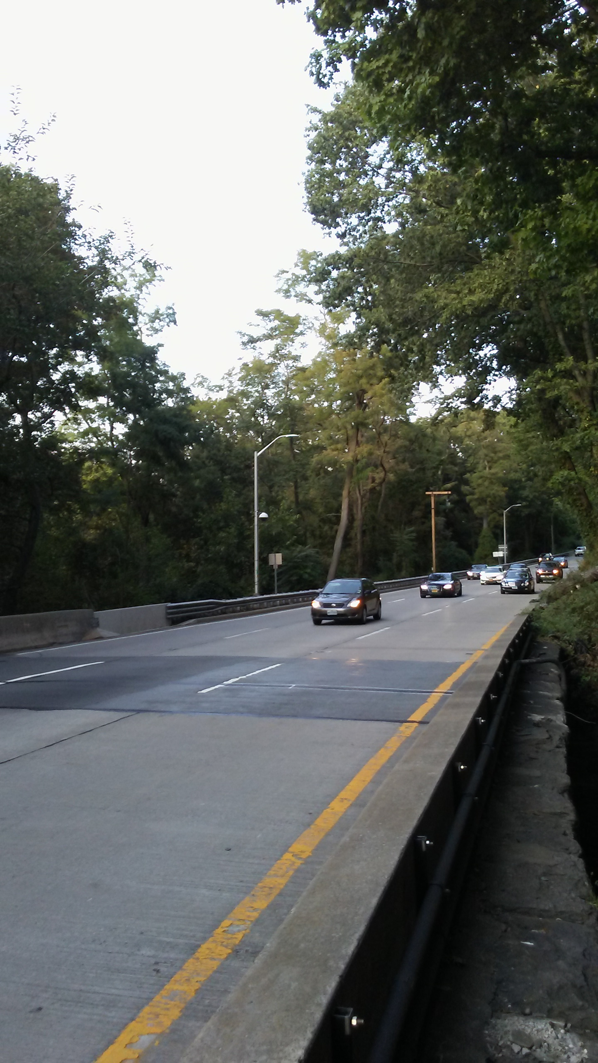 LG M1 sample photo. Inwood park in inwood, manhattan.  photography