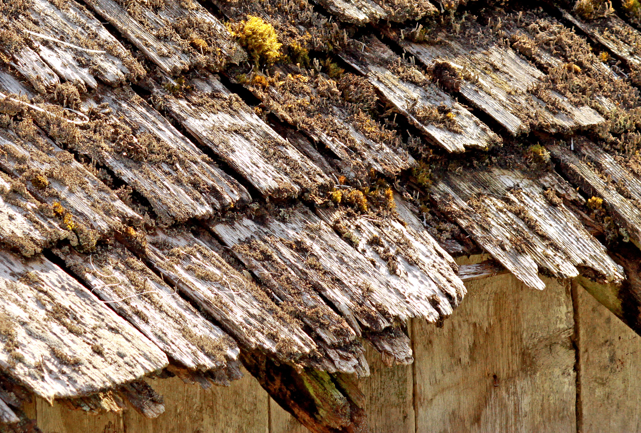 Canon EF-S 55-250mm F4-5.6 IS sample photo. Old barn photography