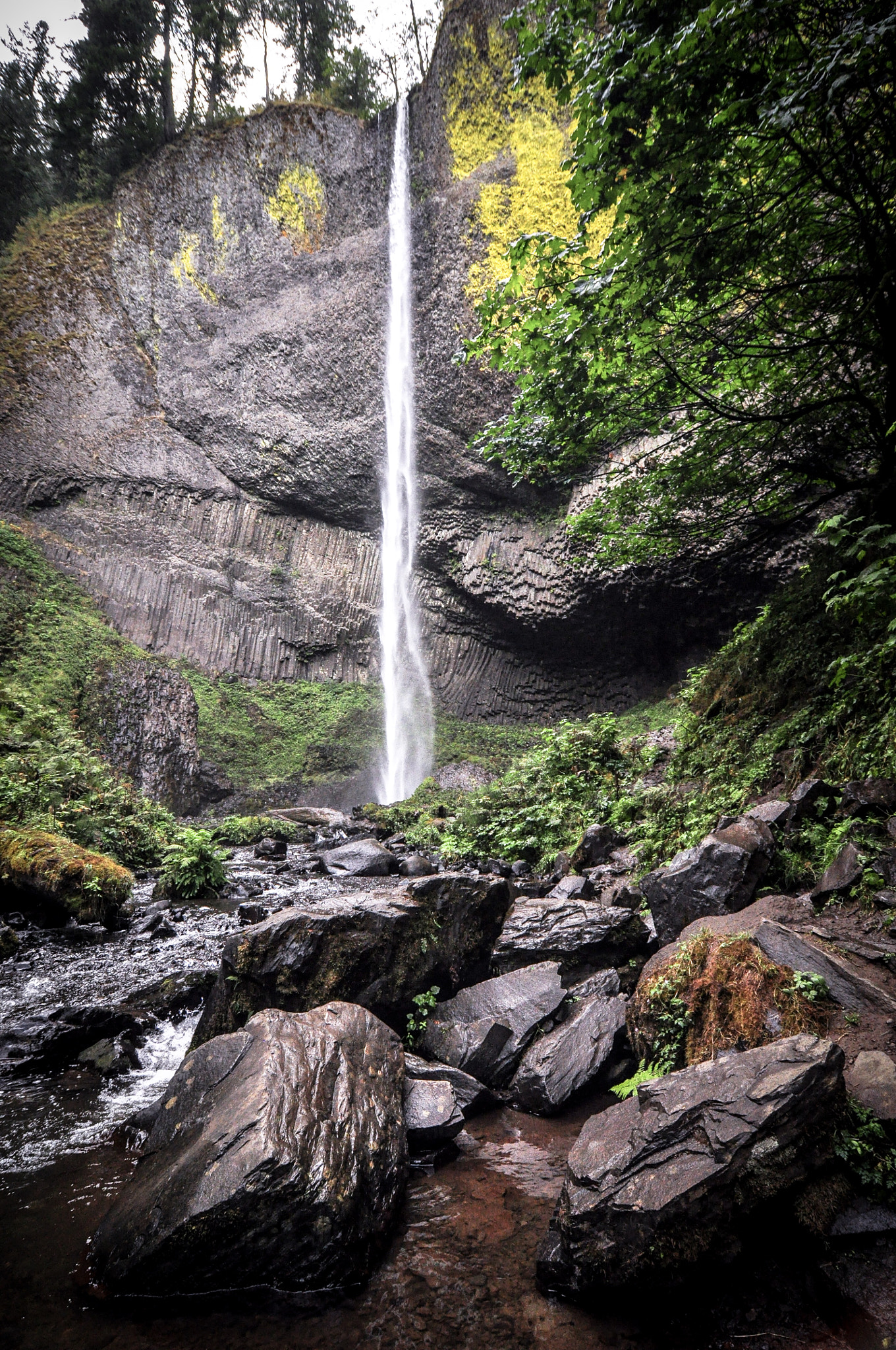 Nikon D90 + Tokina AT-X Pro 12-24mm F4 (IF) DX sample photo. Columbia river gorge waterfalls are the best photography