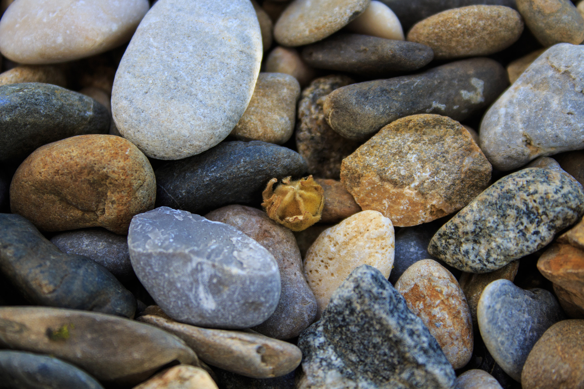 Canon EF-S 18-55mm F3.5-5.6 II sample photo. Stone photography