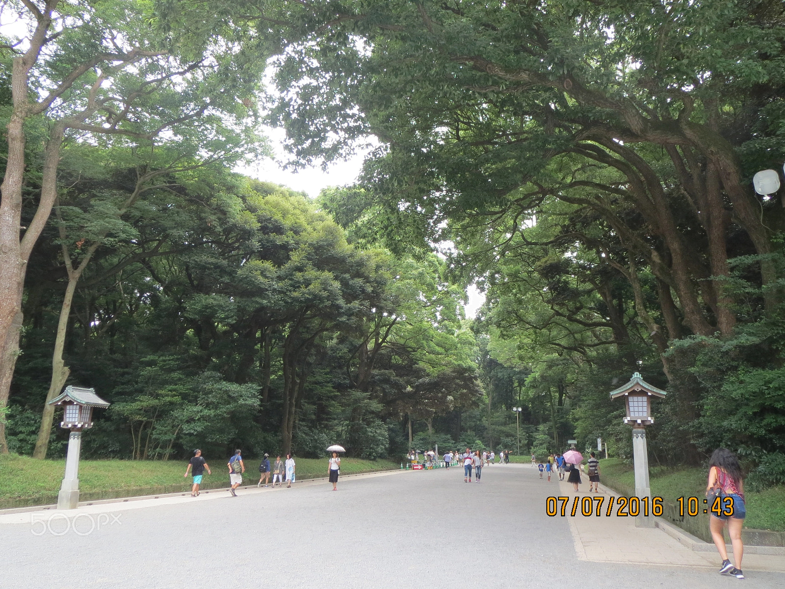 Canon PowerShot ELPH 530 HS (IXUS 510 HS / IXY 1) sample photo. Meiji jingu garden photography