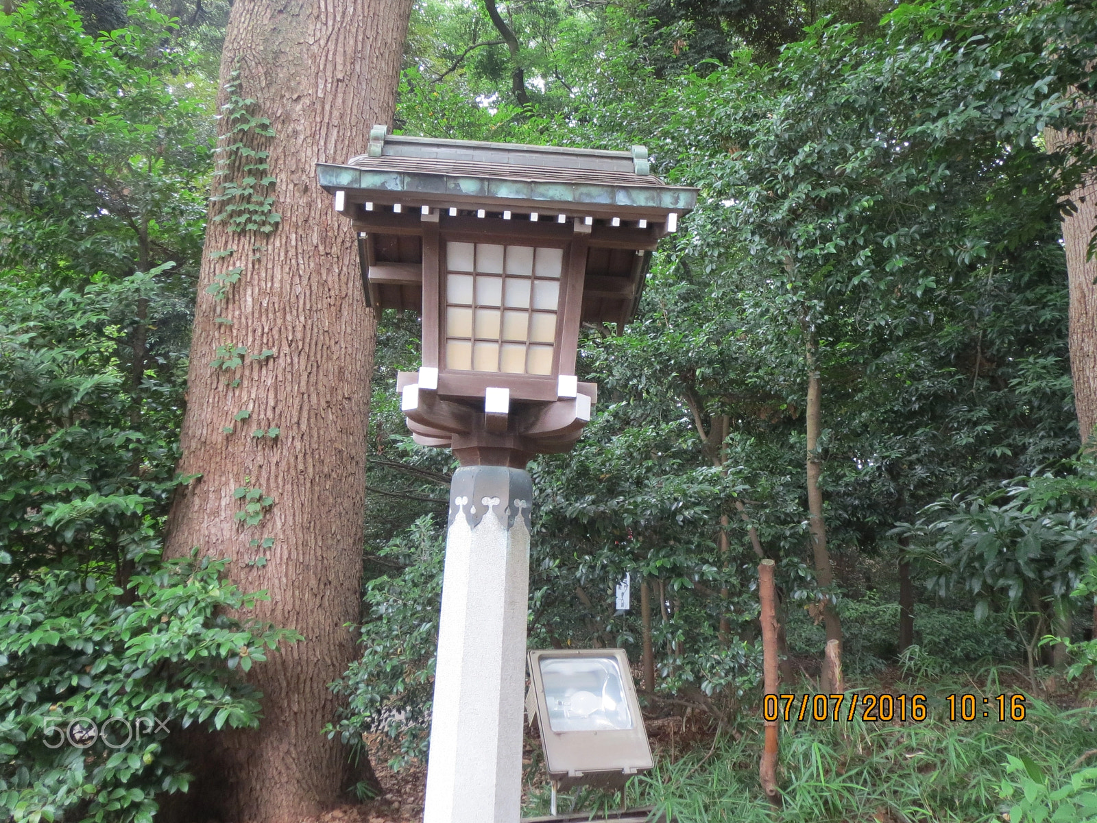 Canon PowerShot ELPH 530 HS (IXUS 510 HS / IXY 1) sample photo. Meiji jingu garden photography