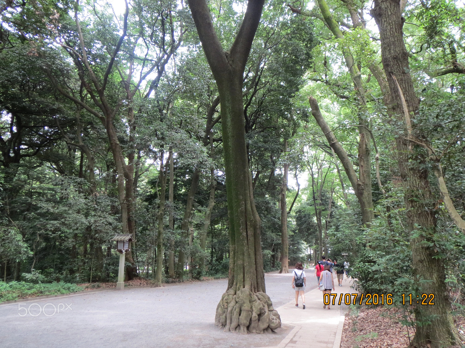 Canon PowerShot ELPH 530 HS (IXUS 510 HS / IXY 1) sample photo. Meiji jingu garden photography