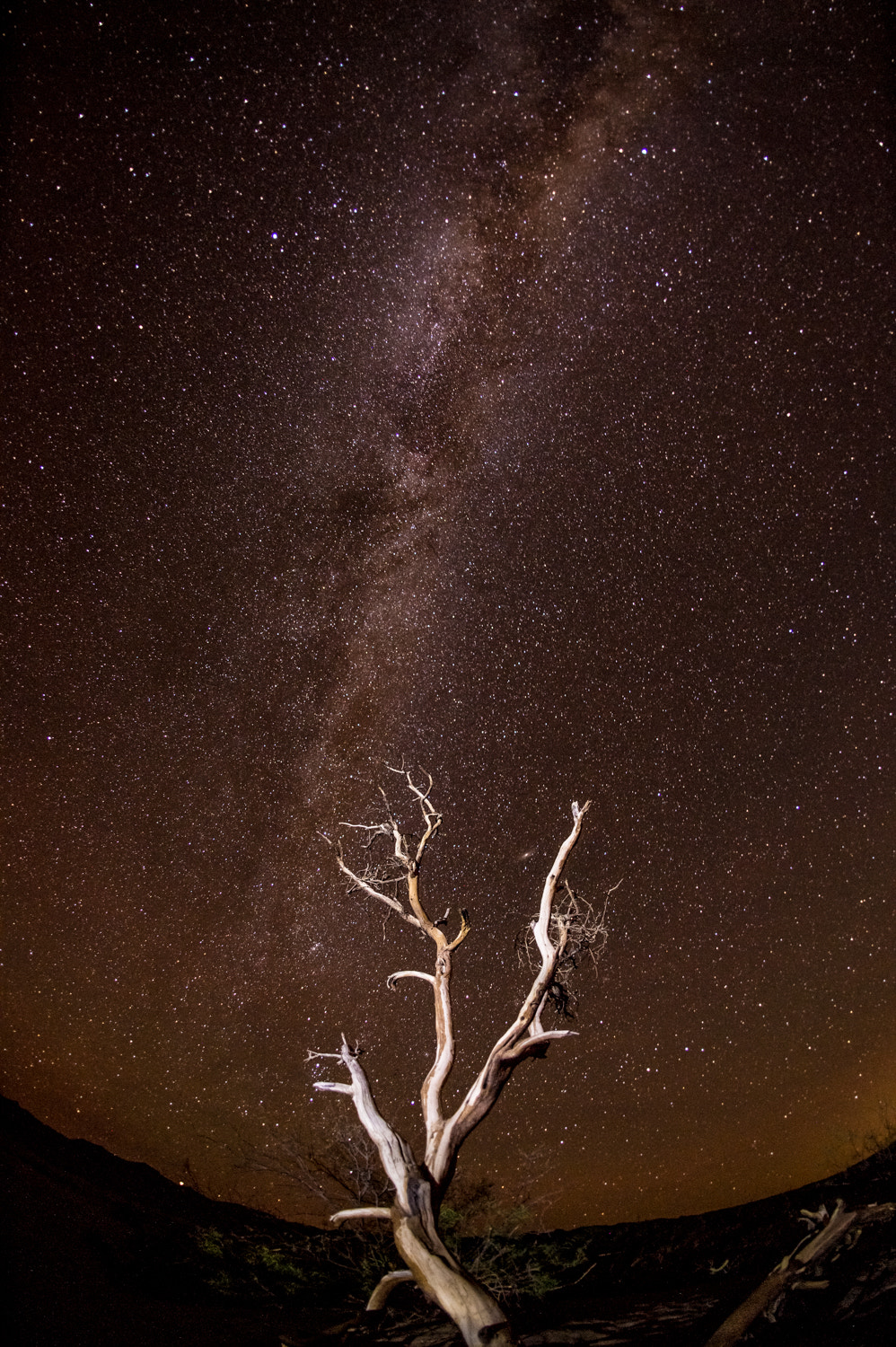 Nikon D4 sample photo. Sand dunes, death valley photography