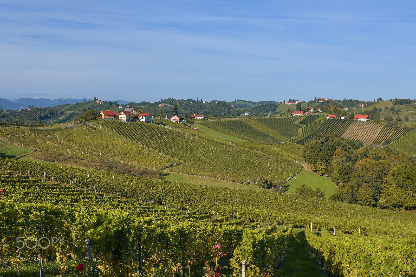 Nikon AF-S Nikkor 24-120mm F4G ED VR sample photo. South styrian wine road photography