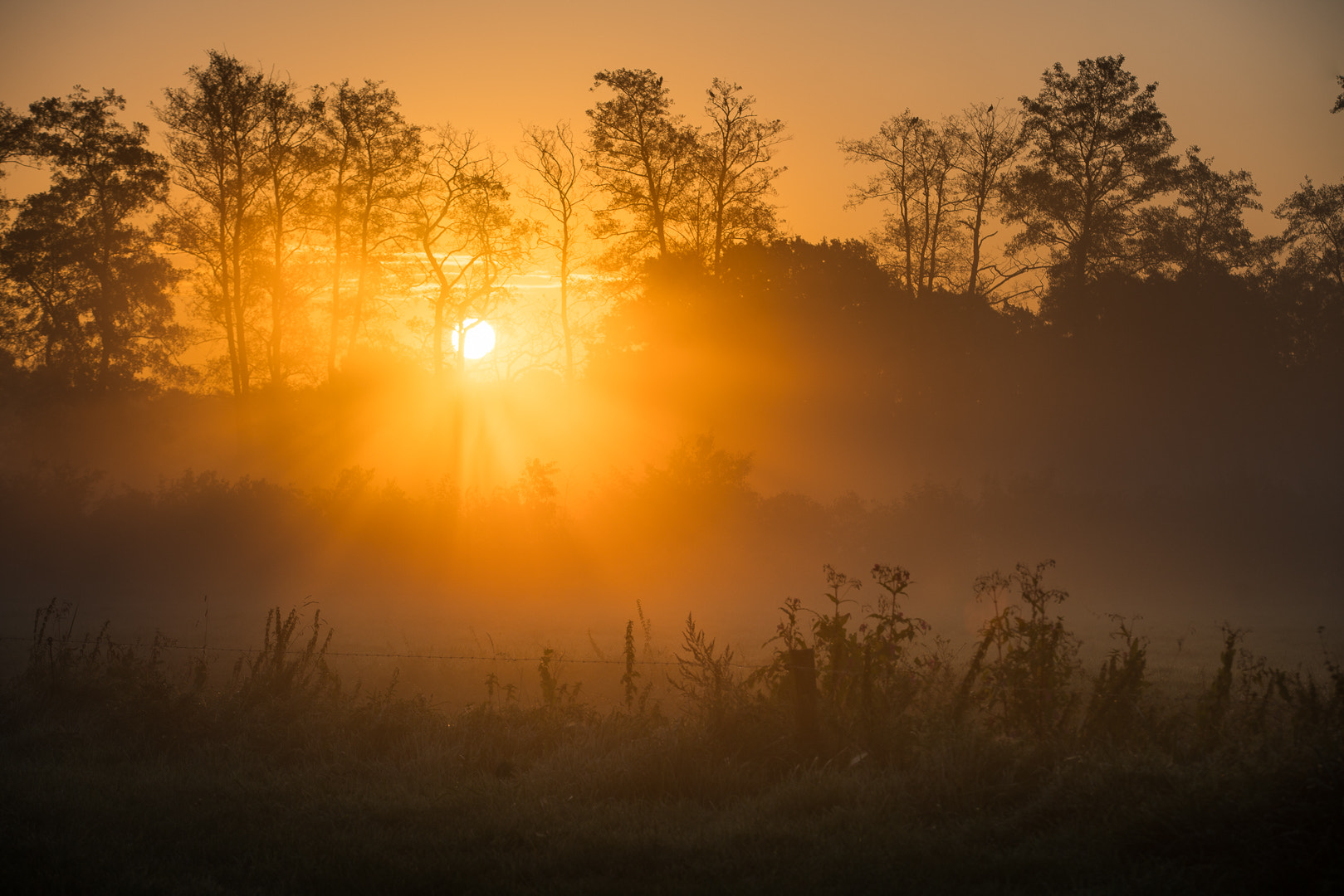 Canon EF 70-200mm F2.8L IS II USM sample photo. Morning fog photography