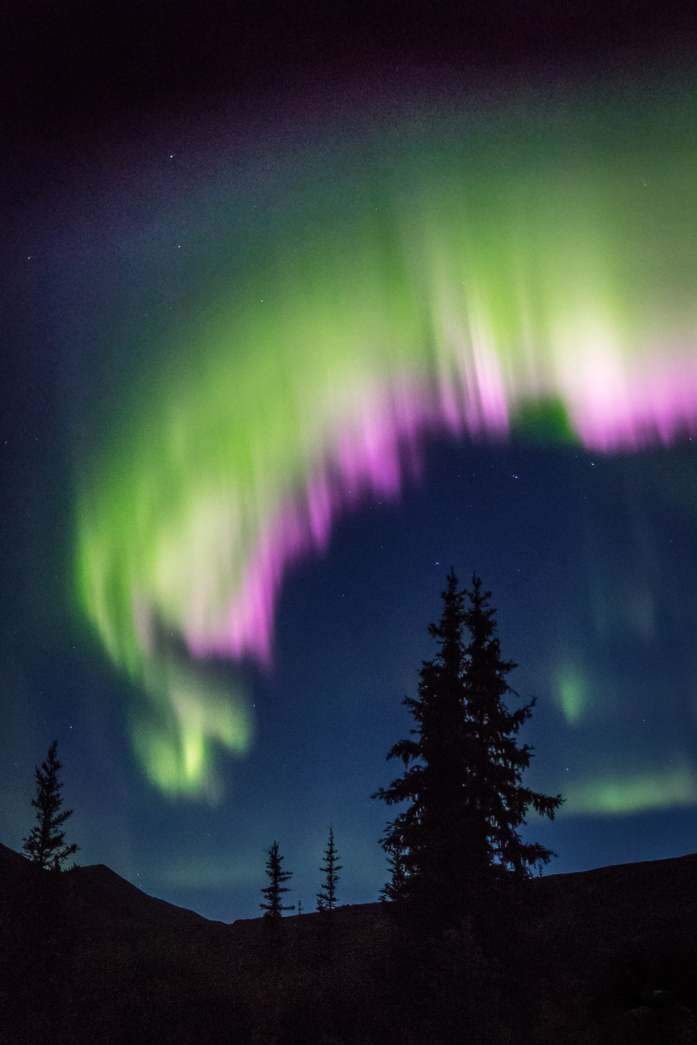 Canon EF 24mm F1.4L II USM sample photo. Northern lights photography