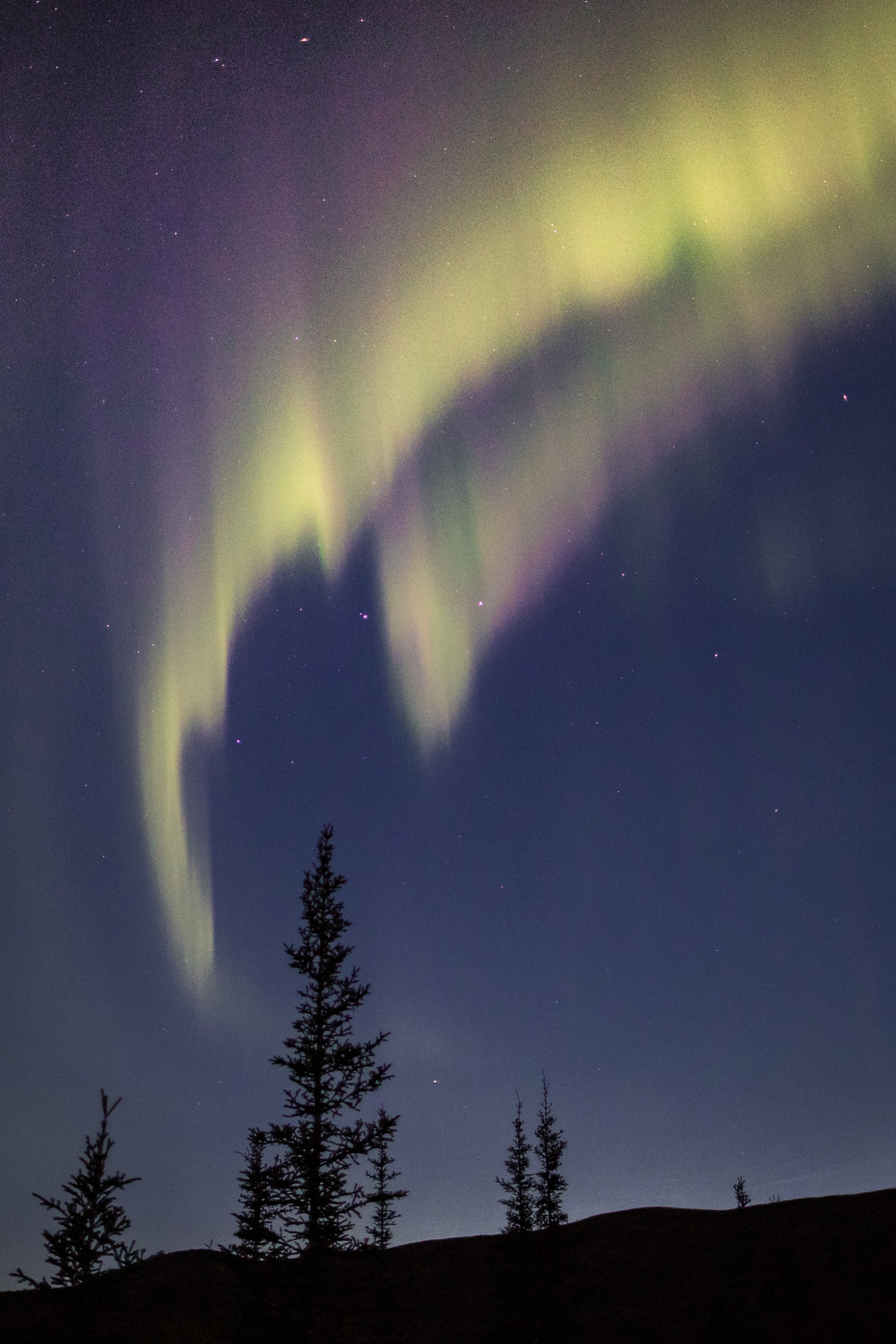 Canon EF 24mm F1.4L II USM sample photo. Northern lights photography