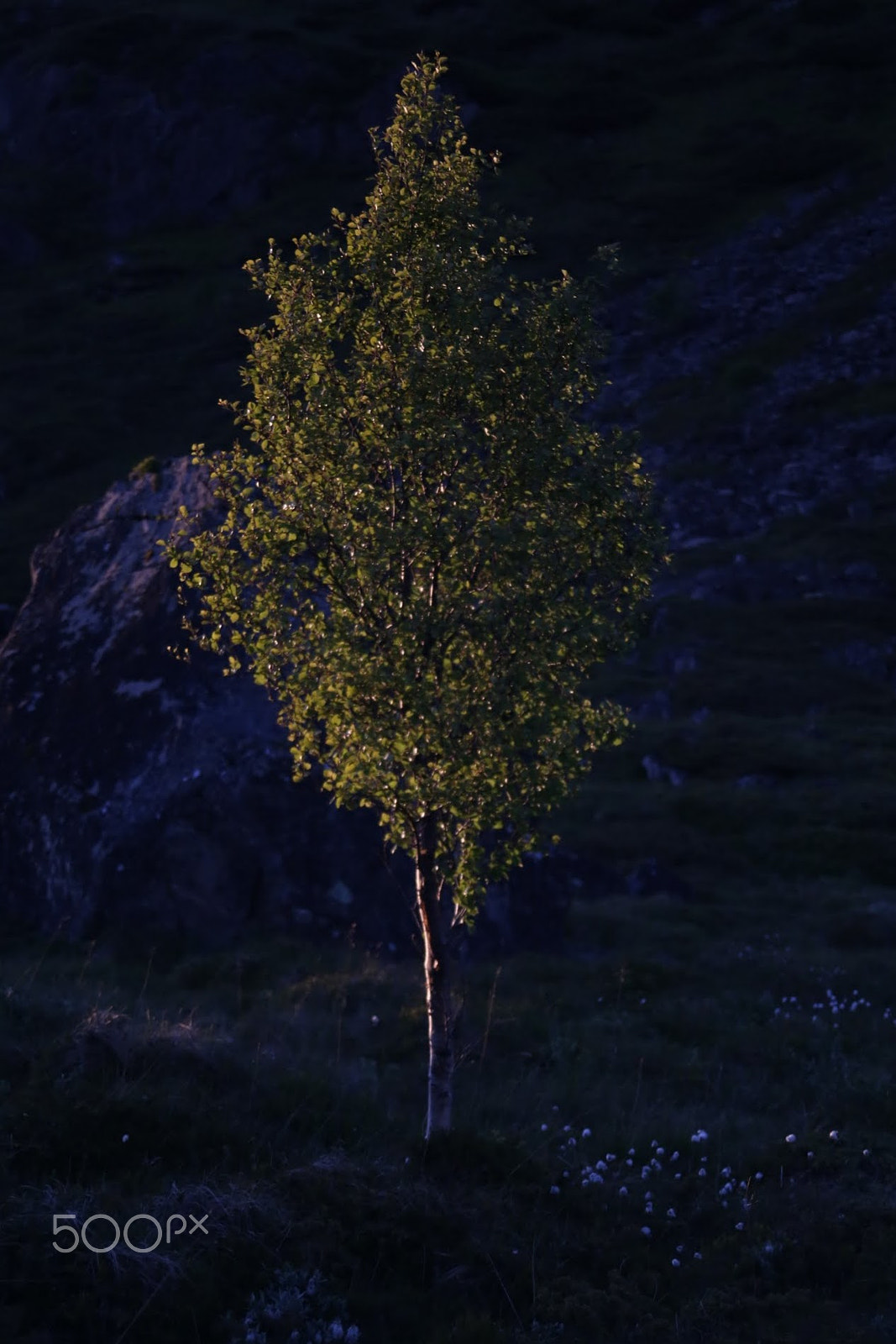 Canon EOS 6D + Canon EF 28-80mm f/3.5-5.6 USM sample photo. Yellow in the blue hour. photography