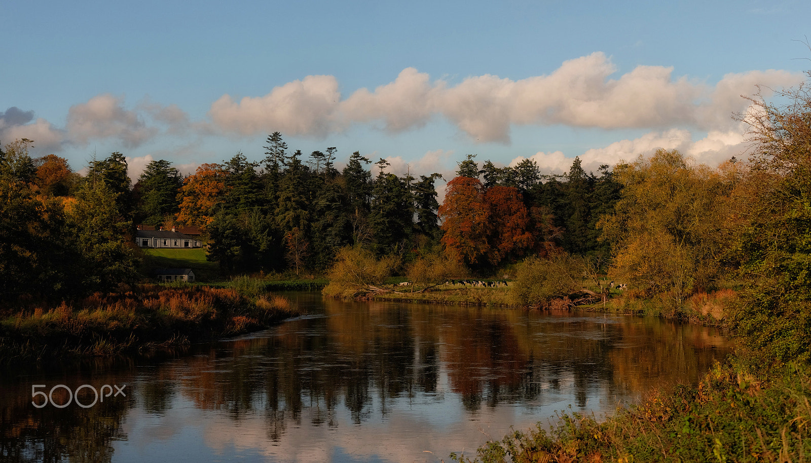 Fujifilm X-M1 + Fujifilm XC 50-230mm F4.5-6.7 OIS sample photo. ...boyne bend... photography