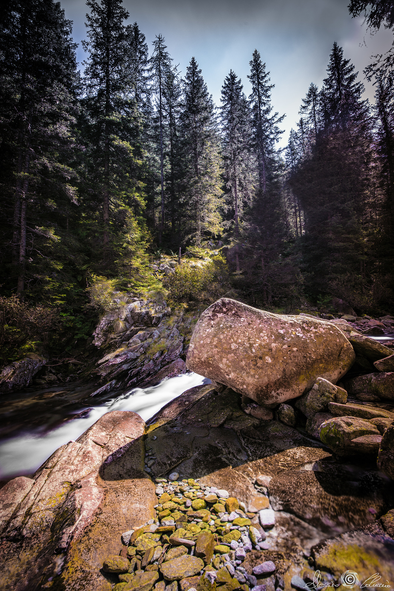 Canon EOS-1D X sample photo. Ruscelli photography