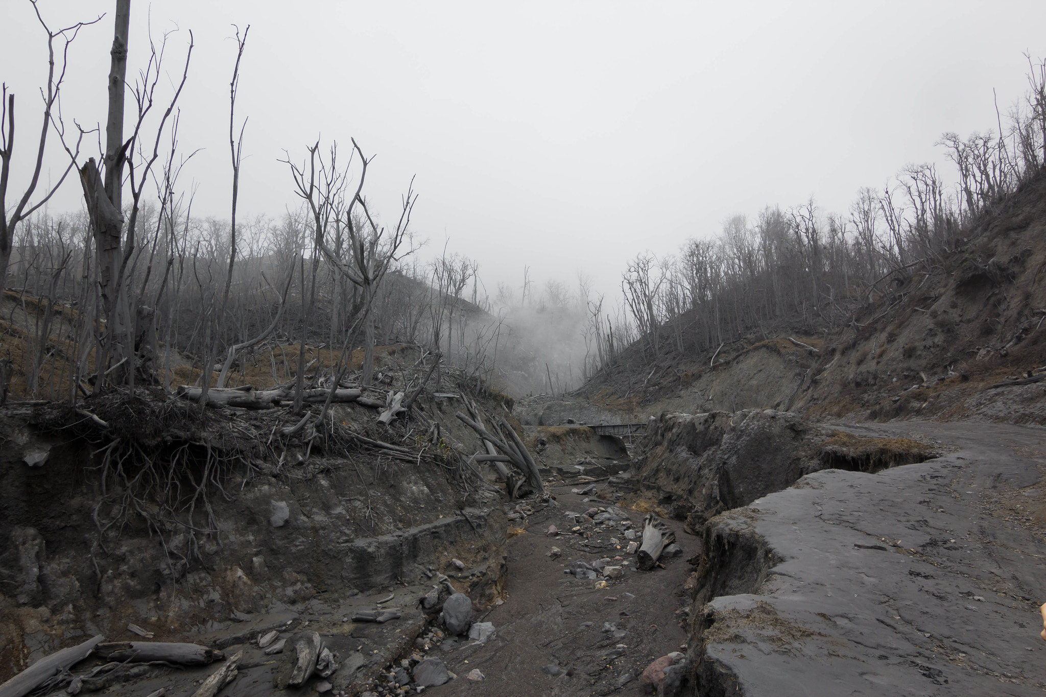 Canon EOS 1200D (EOS Rebel T5 / EOS Kiss X70 / EOS Hi) sample photo. Silent hill photography