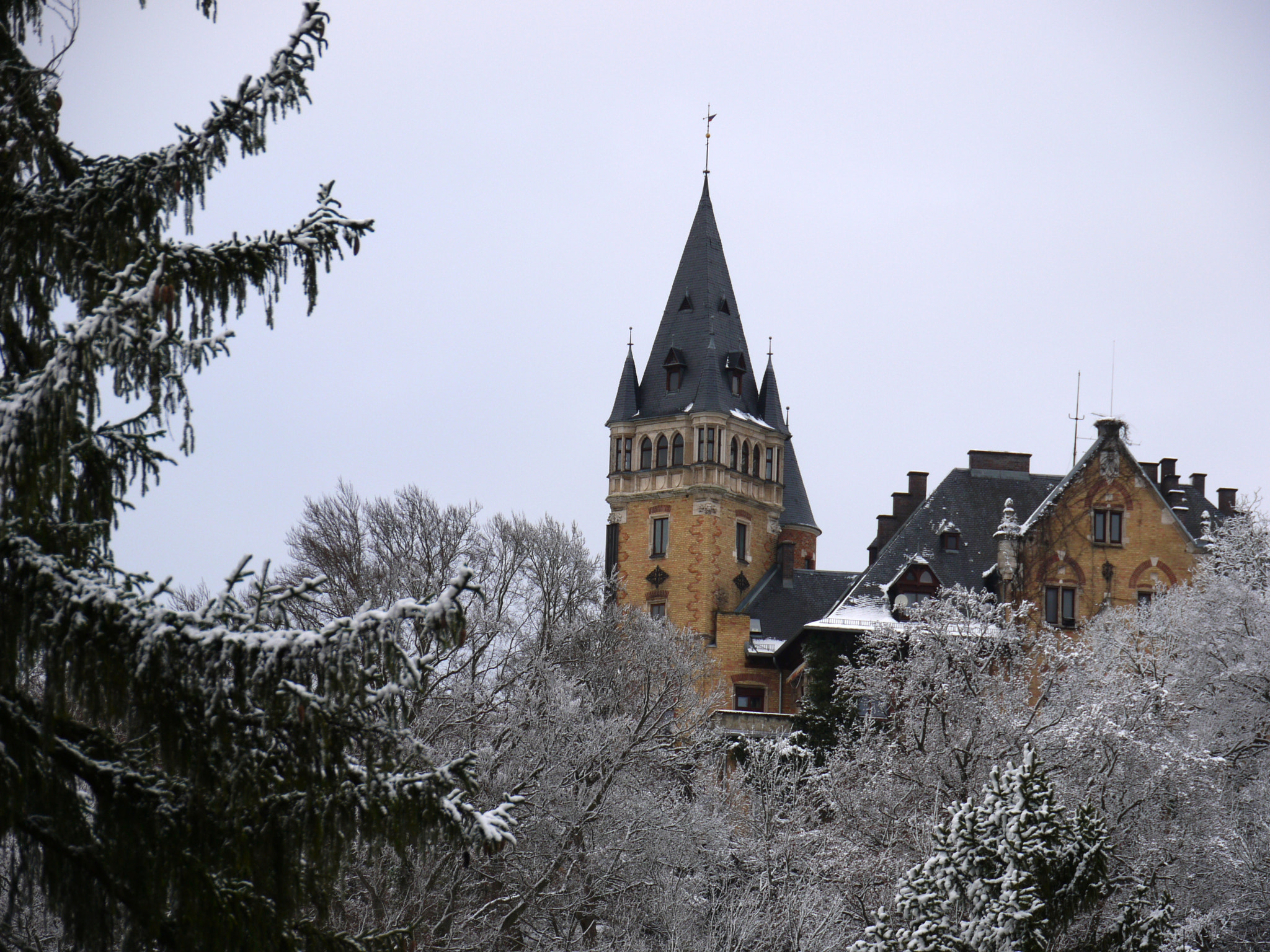 Panasonic Lumix DMC-G1 sample photo. Gut hochschloss in winter photography
